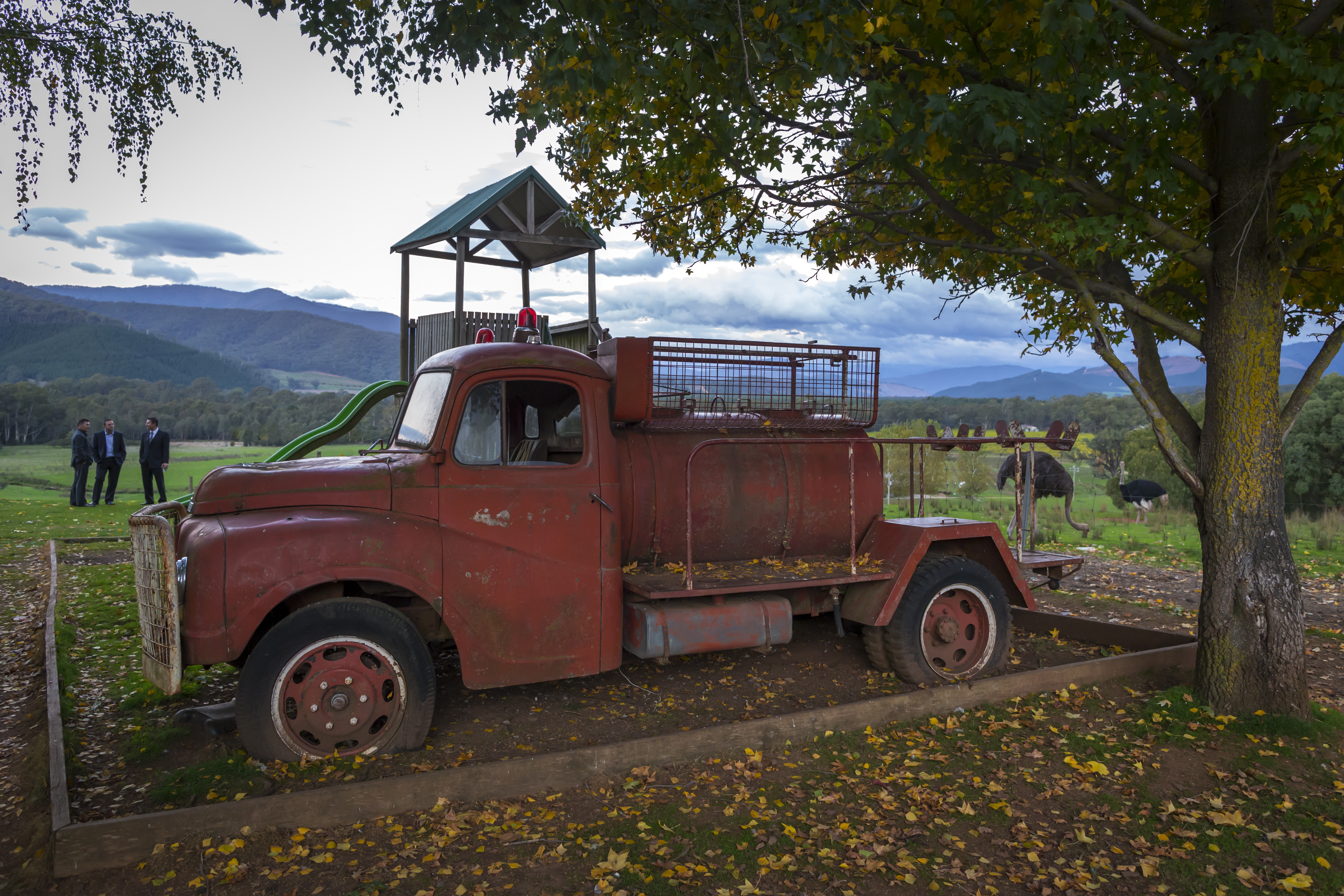 The Red Stag Restaurant-2468554