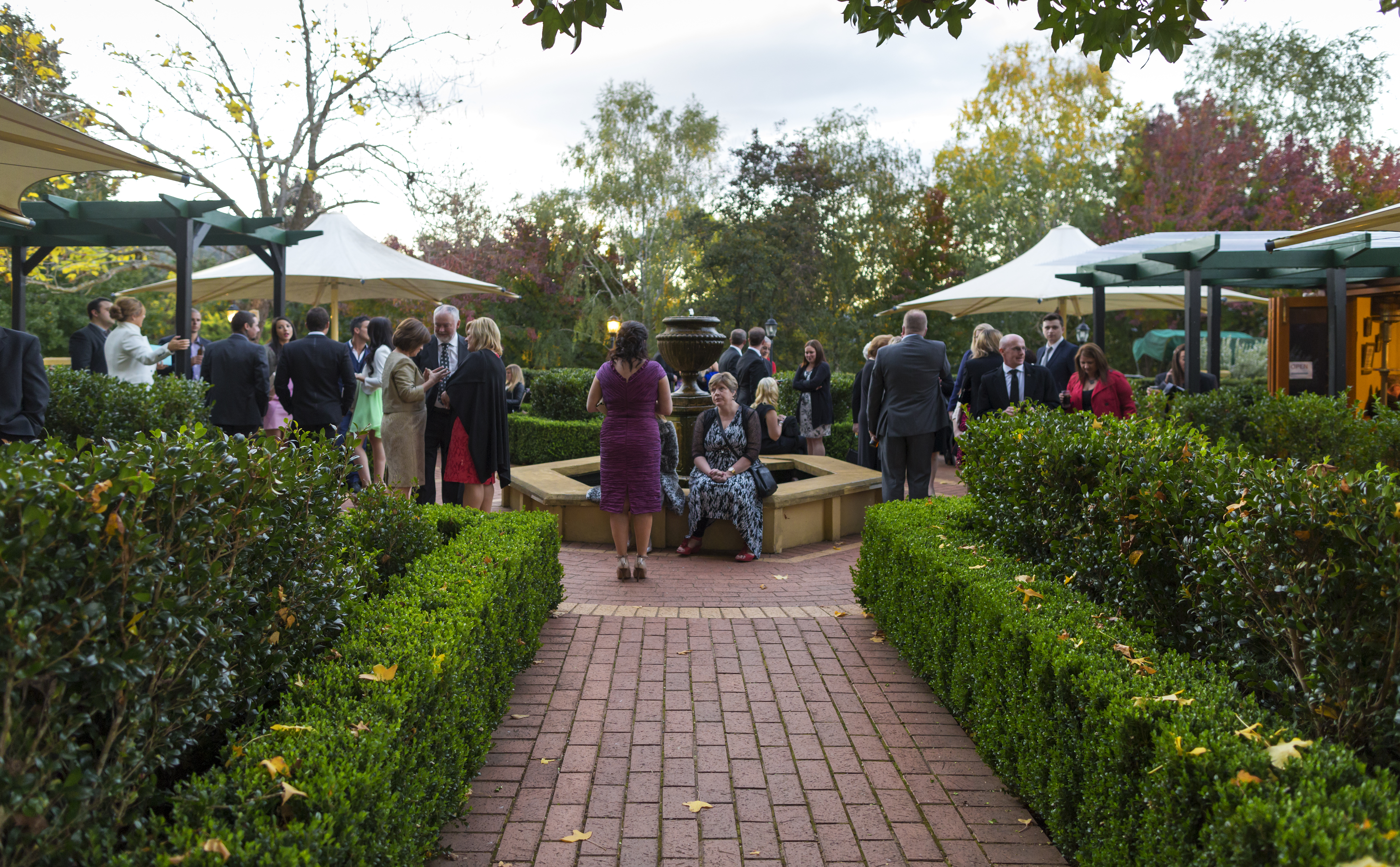 The Red Stag Restaurant-2468552