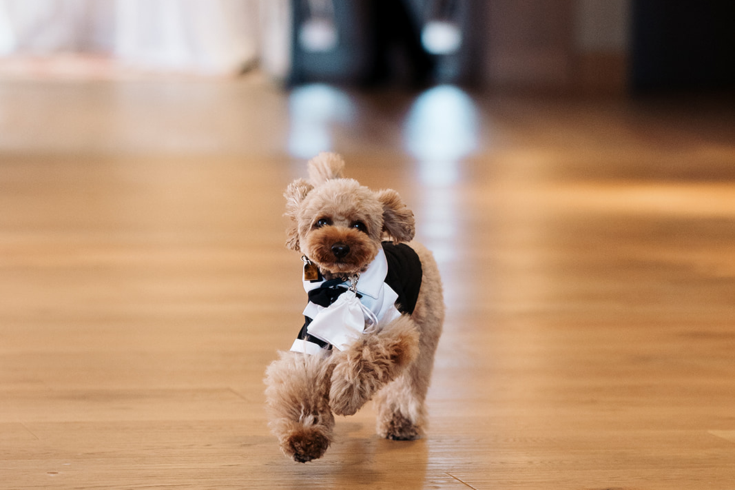 The Ritz-Carlton, Perth-2388528