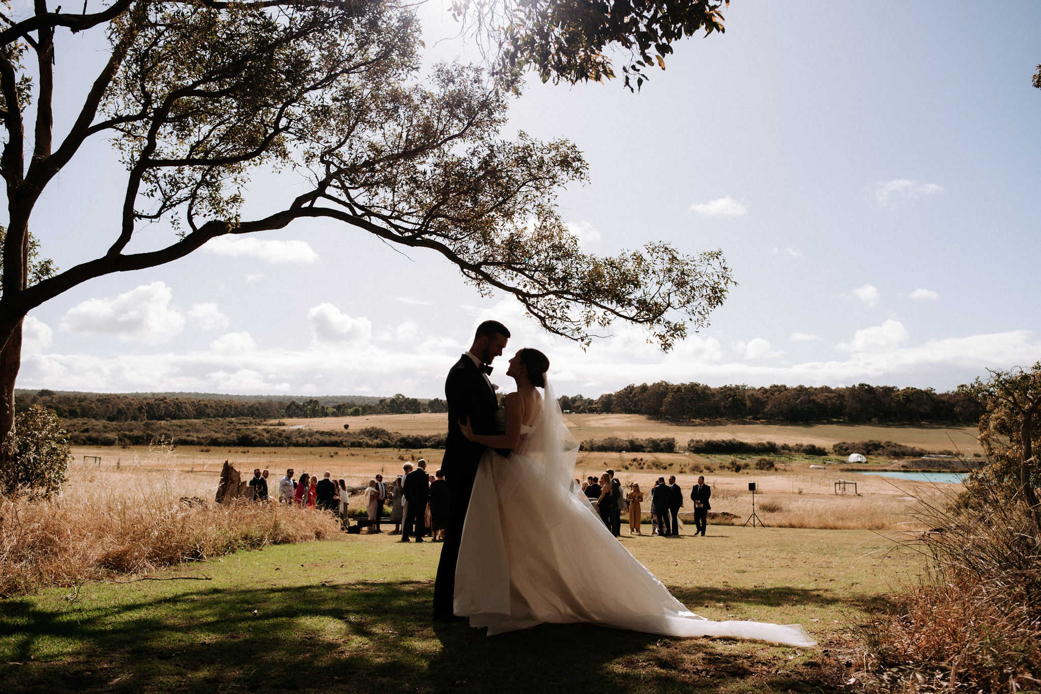 The Tiller Farm-2321606