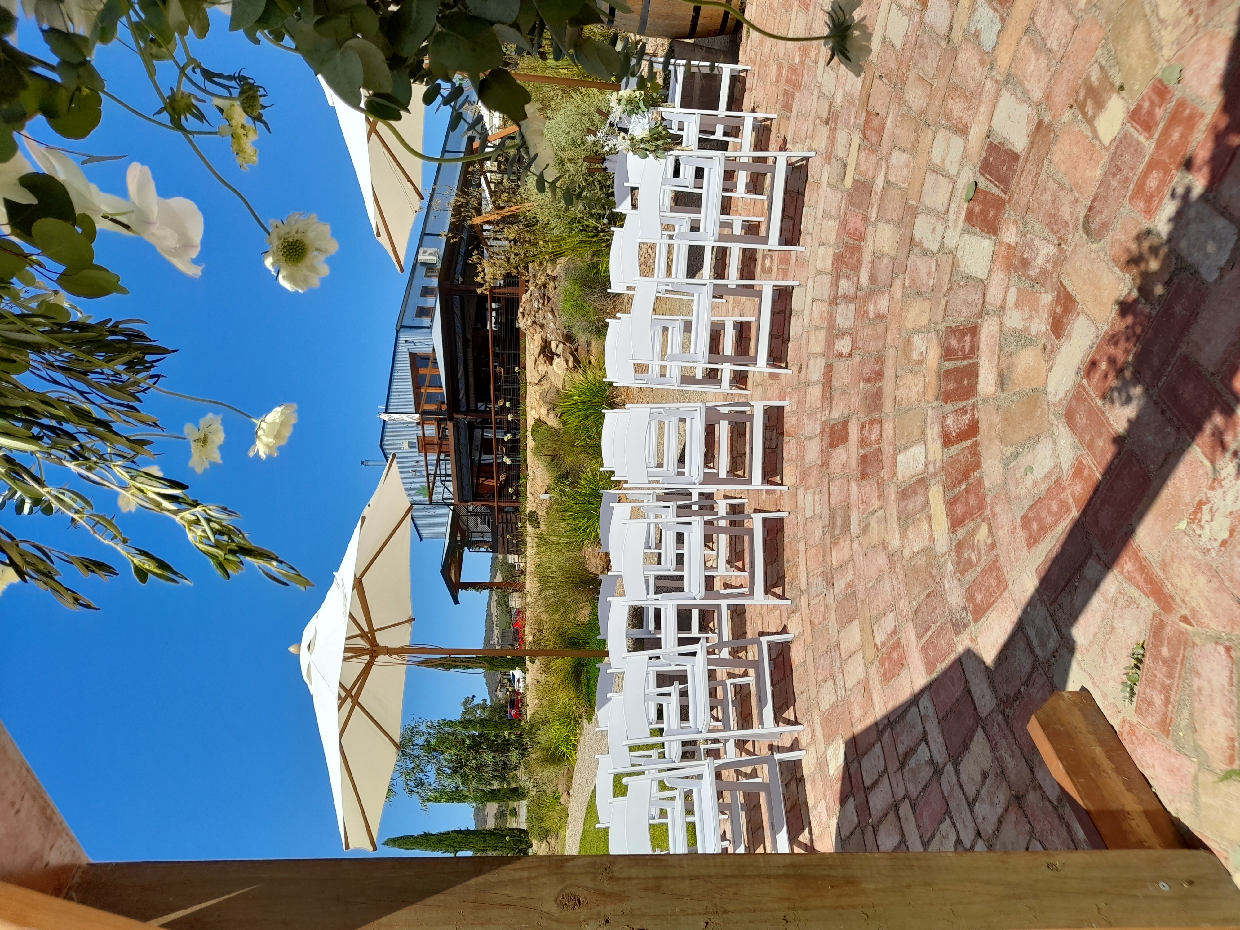 The Vine Shed-2306671