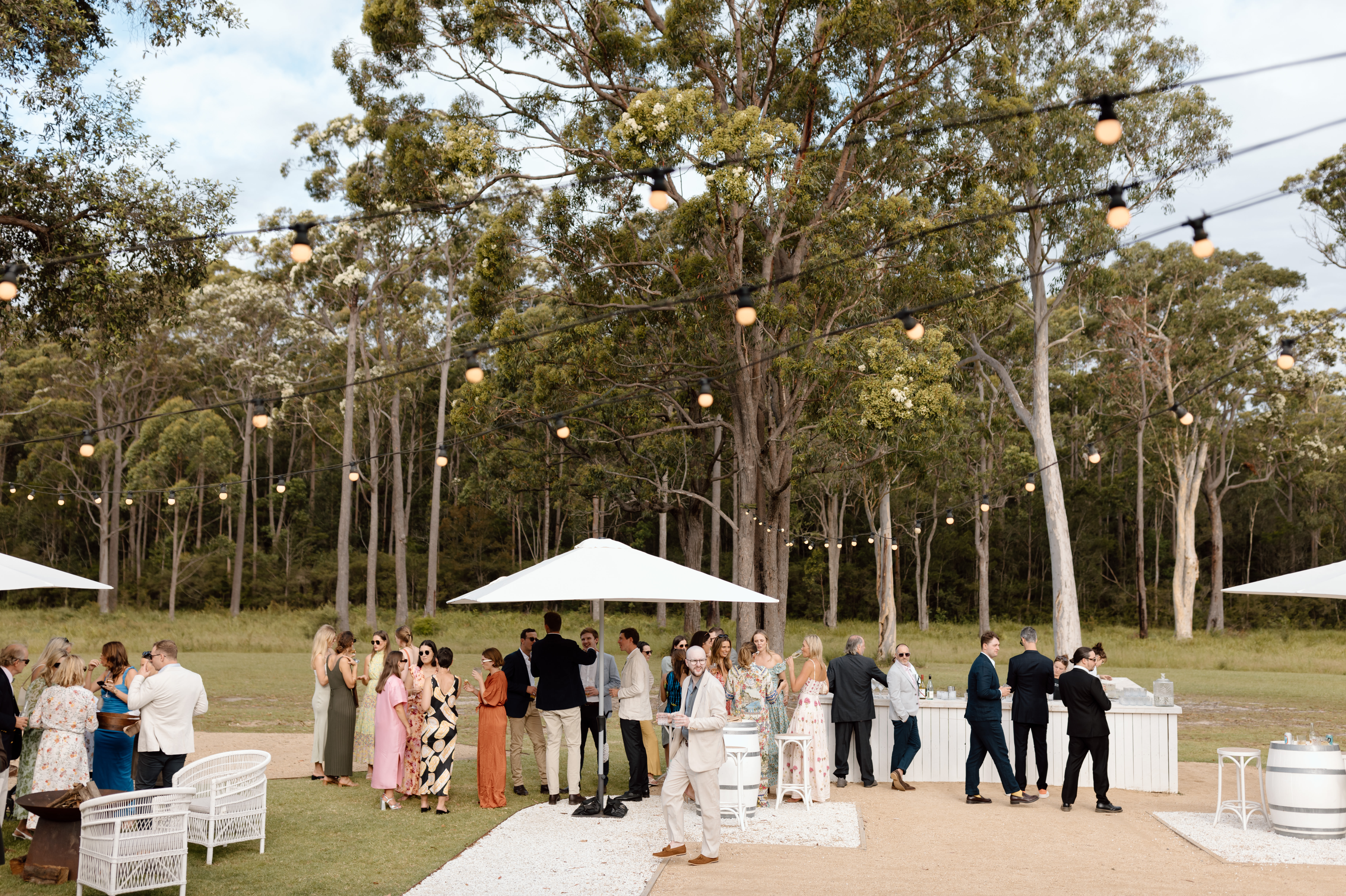 The Woods Farm-2375825