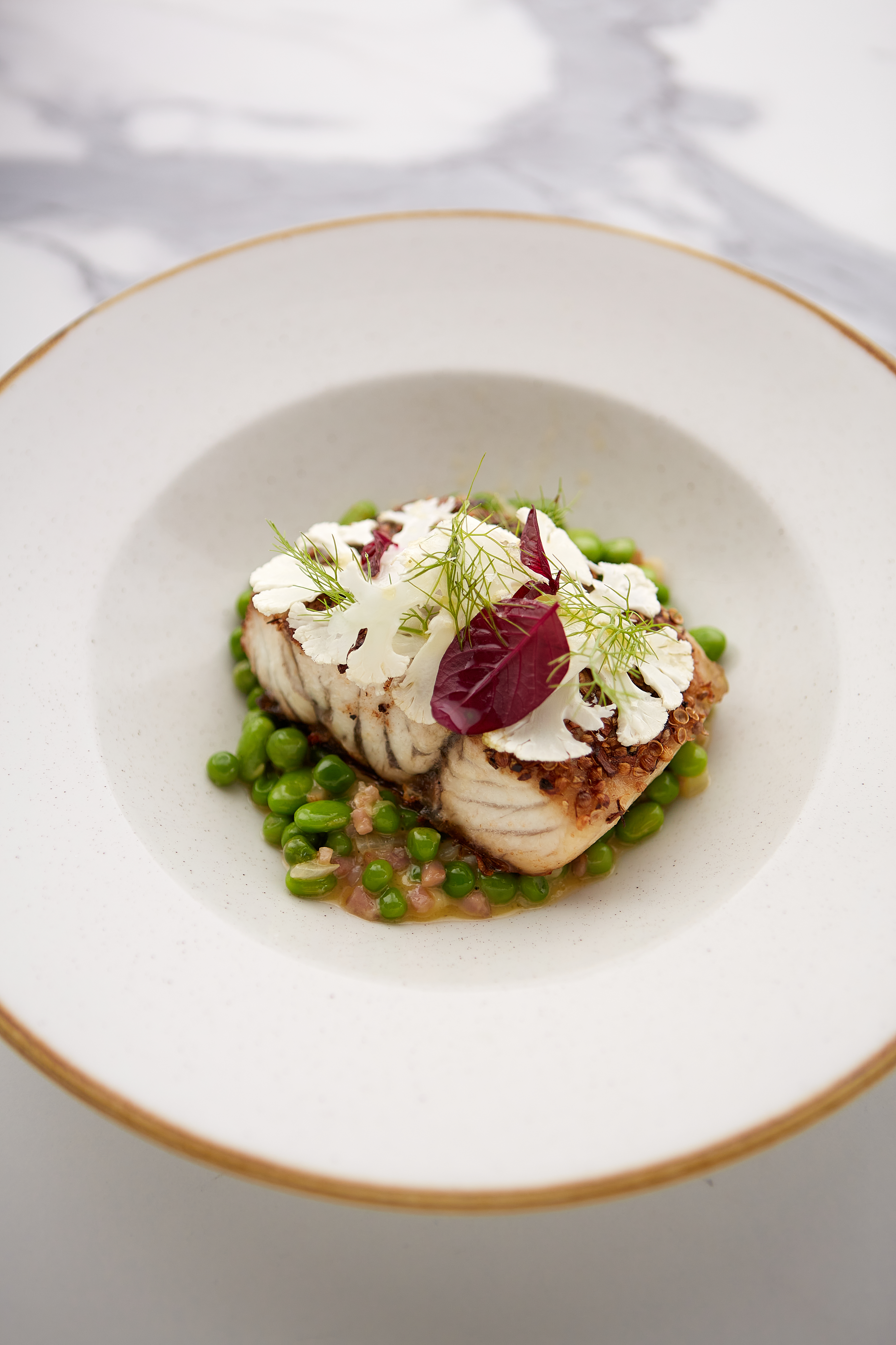 Thirty Three Degrees-2152118