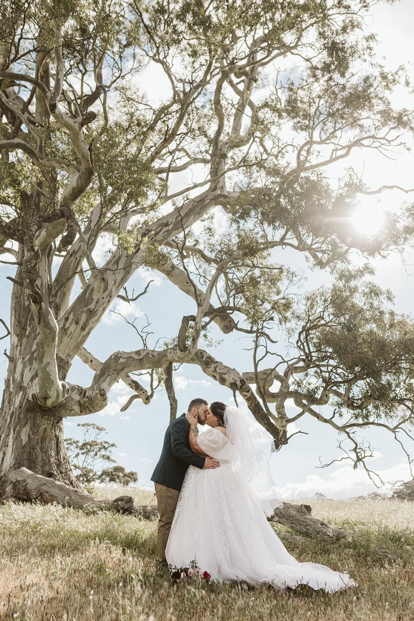 Thorn-Clarke Wines-2111885