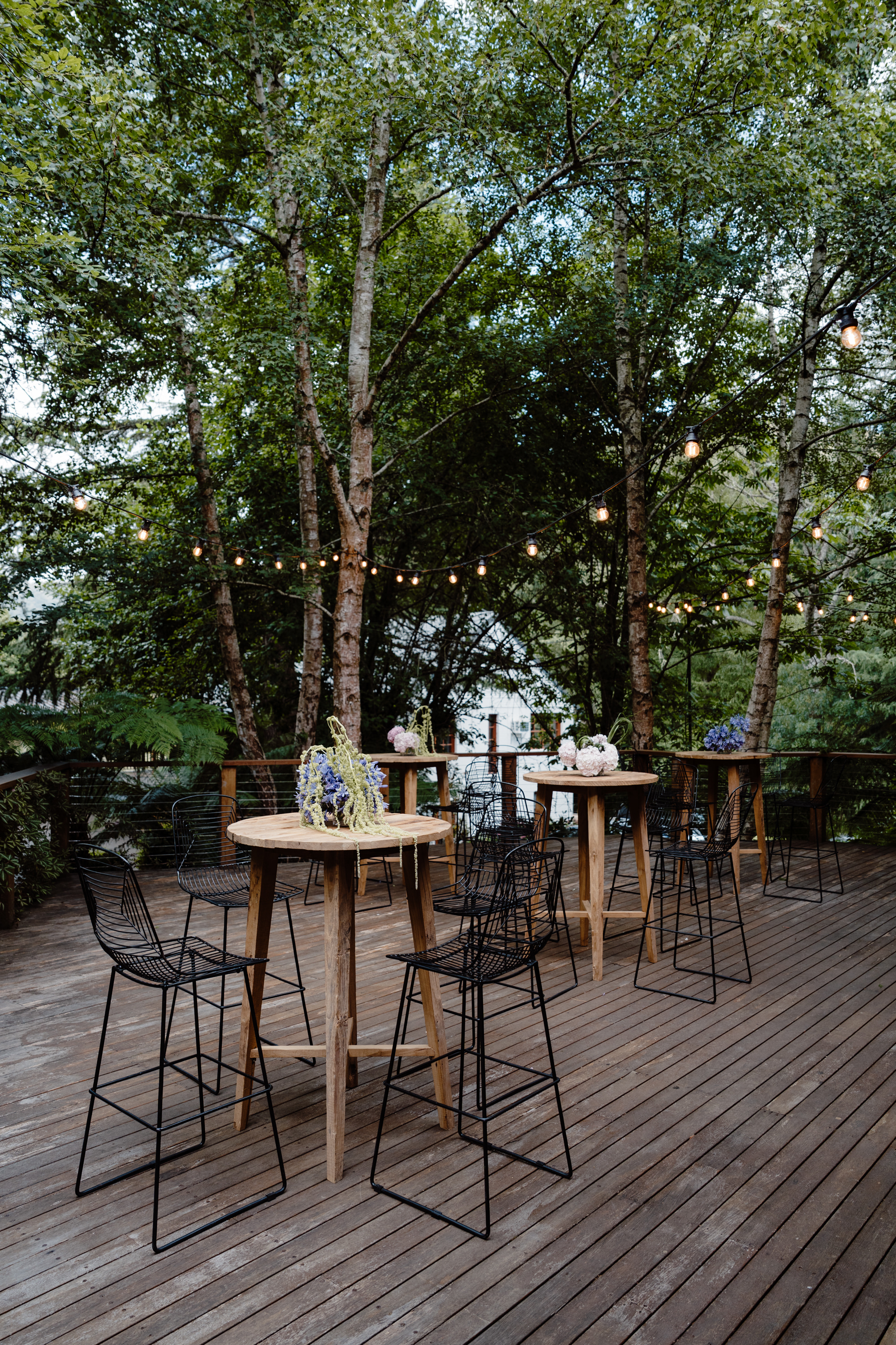 Toorongo Valley Estate-2524791