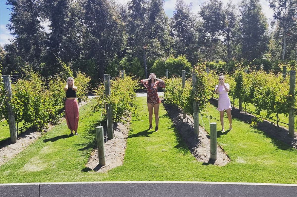 Tour Local Hens and Bucks Tours