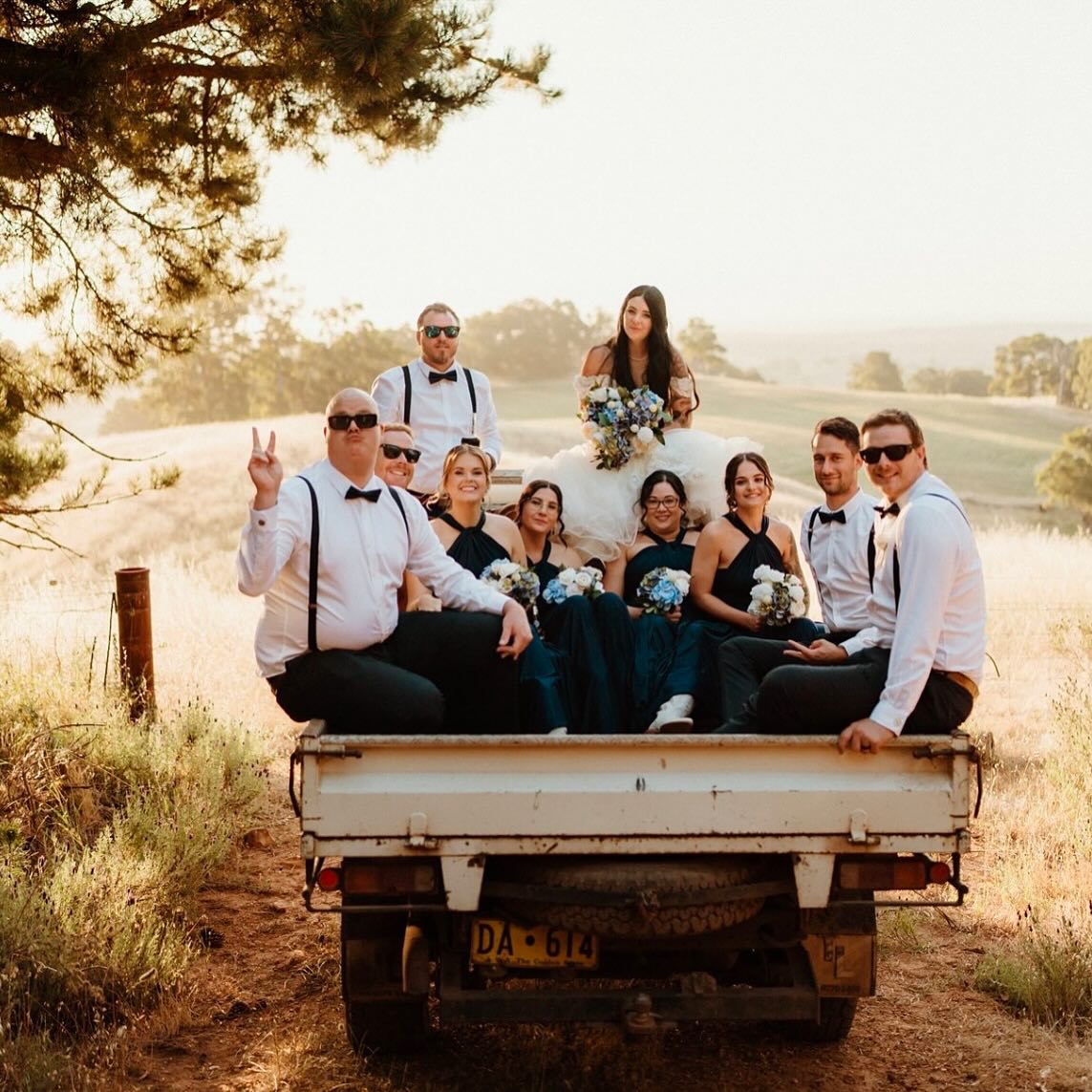 Twelve Pillars-2463561