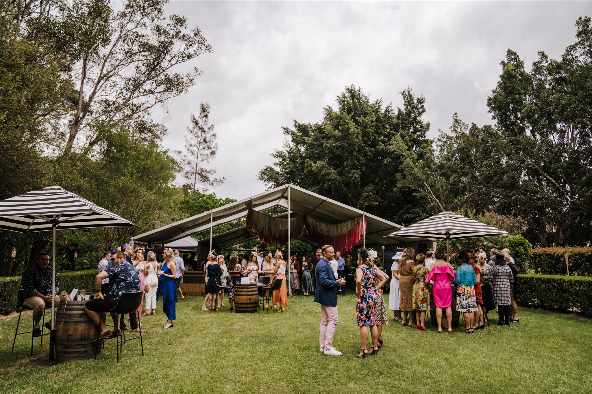 TwoTripleFour @ Cassegrain Winery-2161929