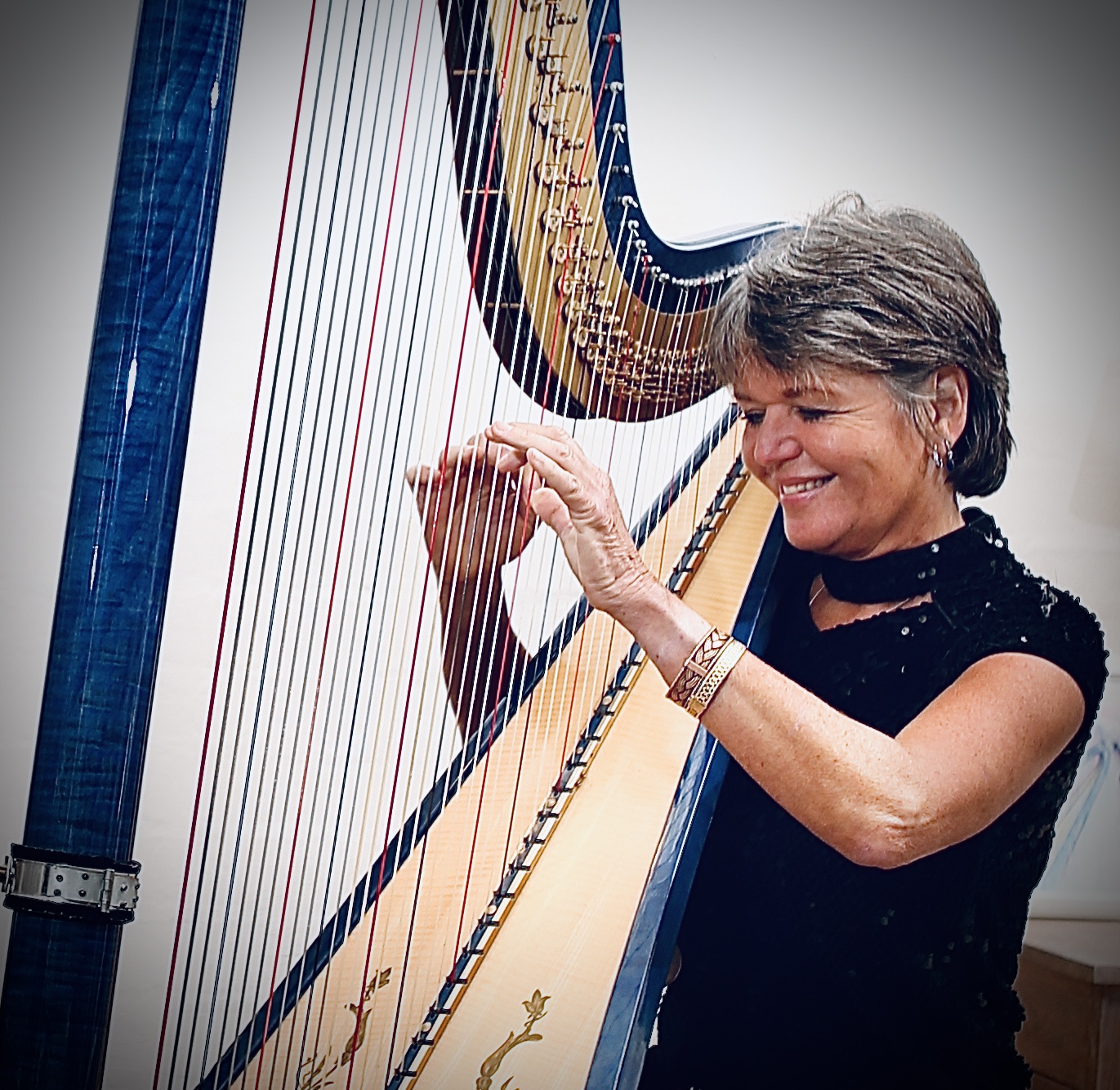 Vanessa McKeand (harpist) and MV2 (violin and harp)