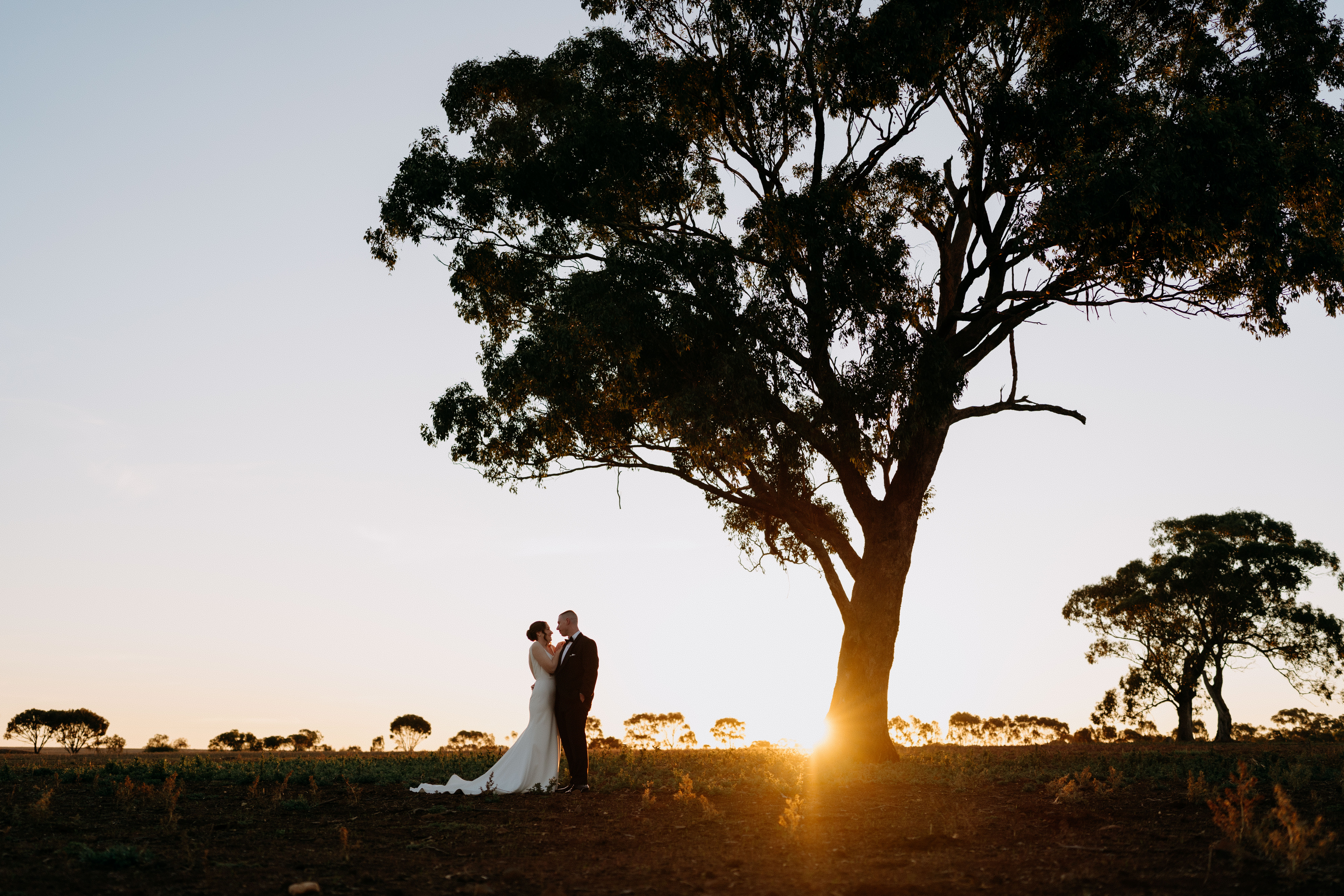 Warrawong Estate-2481091