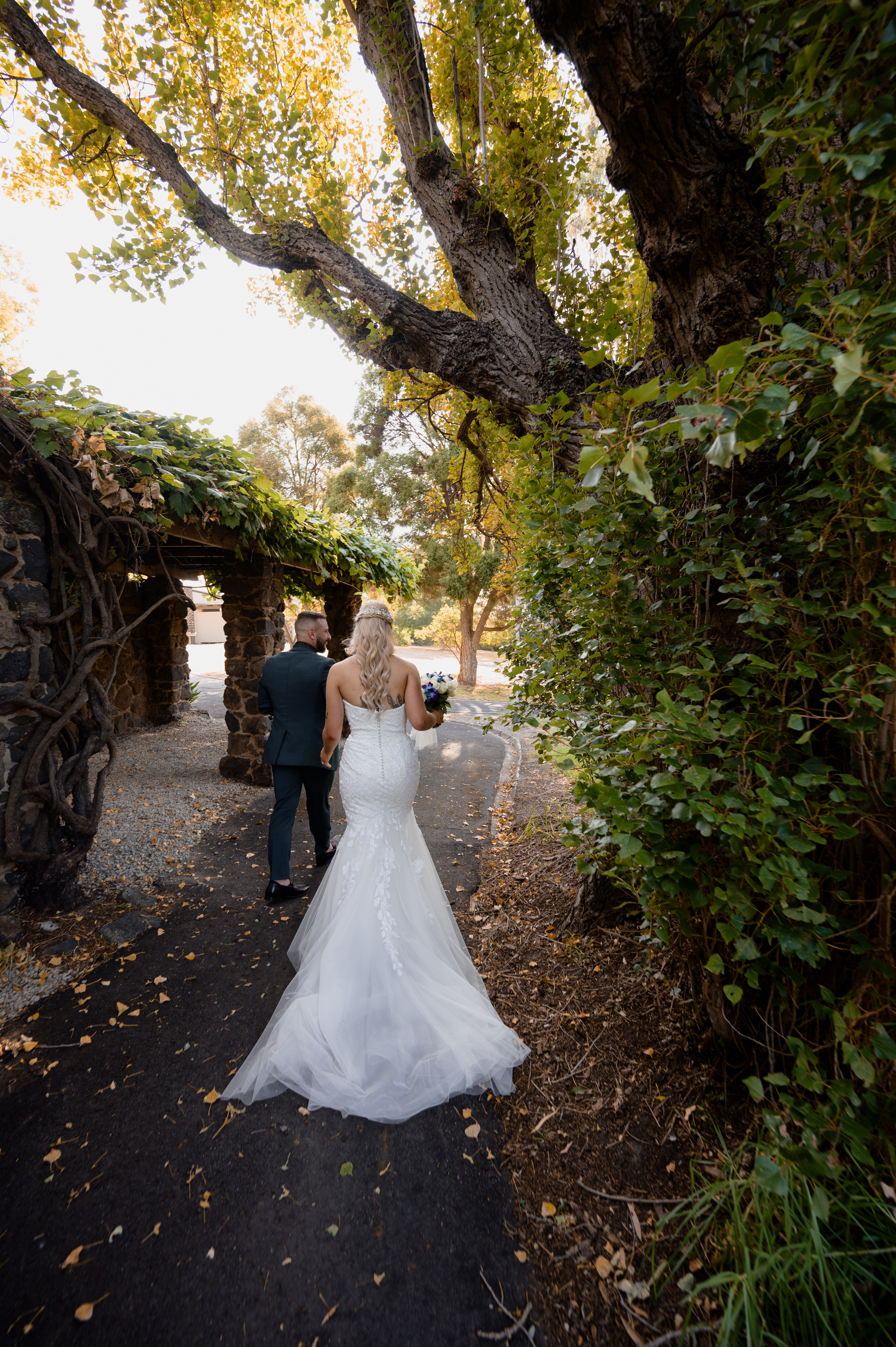 Wattle Park Chalet Surrey Hills-2426650