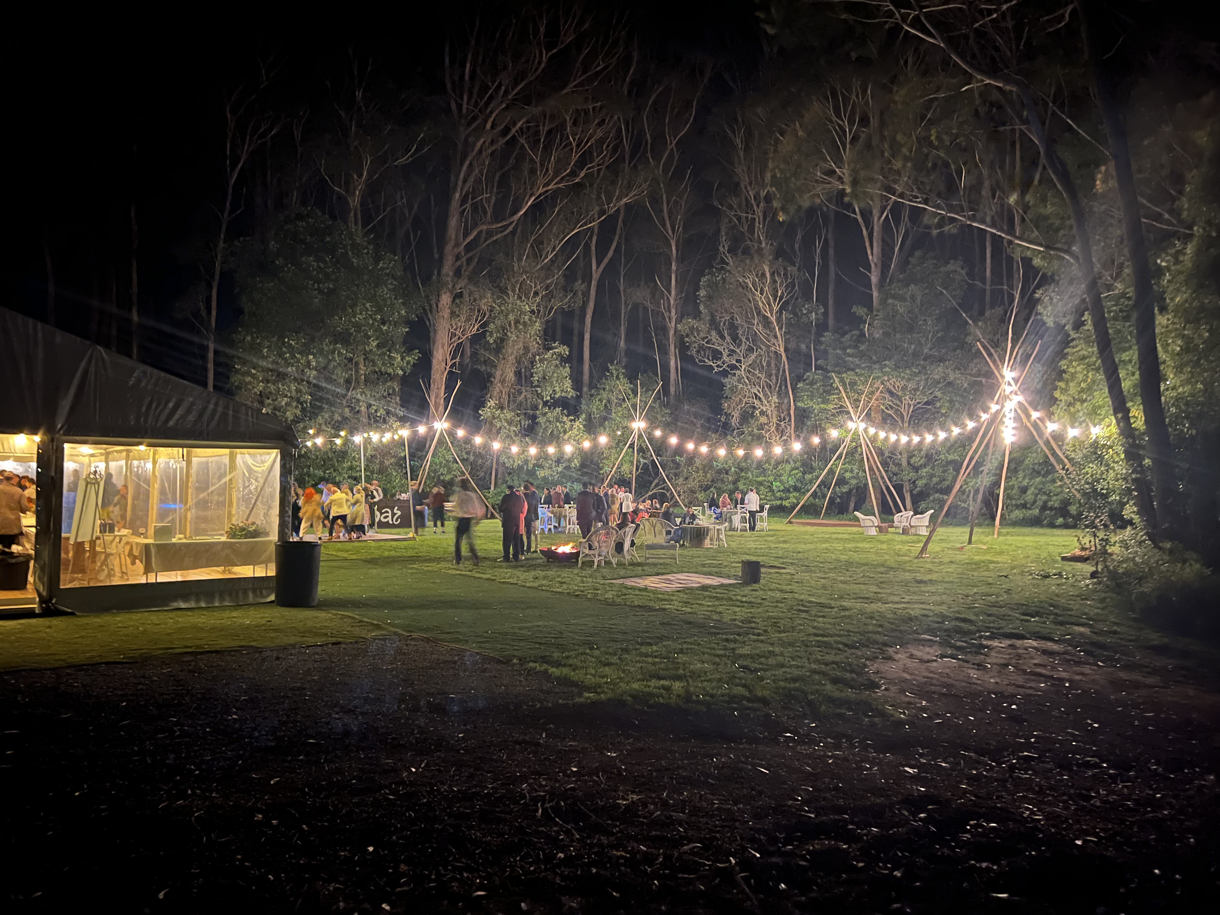 Weddings in the Wilde-2260842