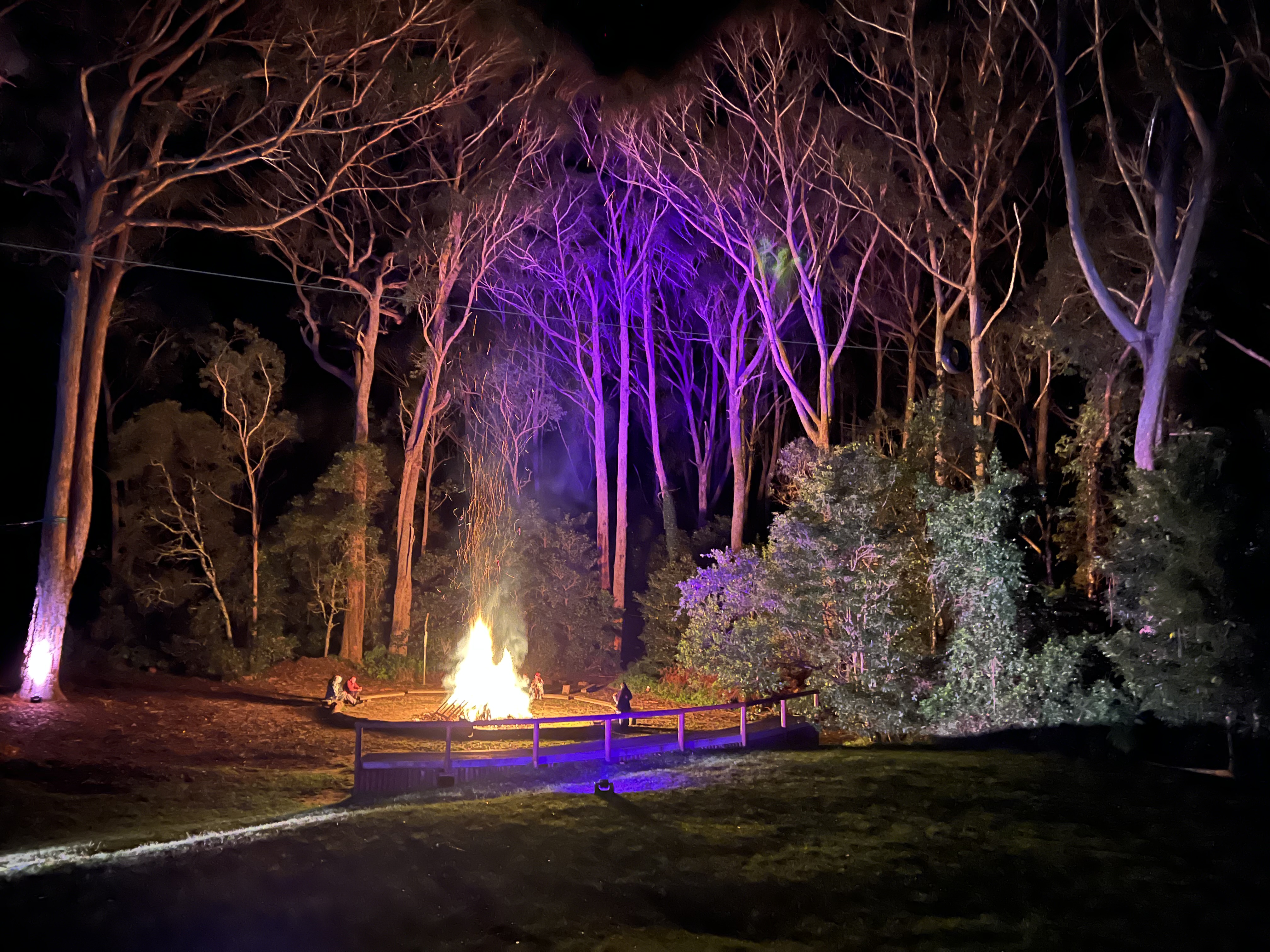 Weddings in the Wilde-2260846