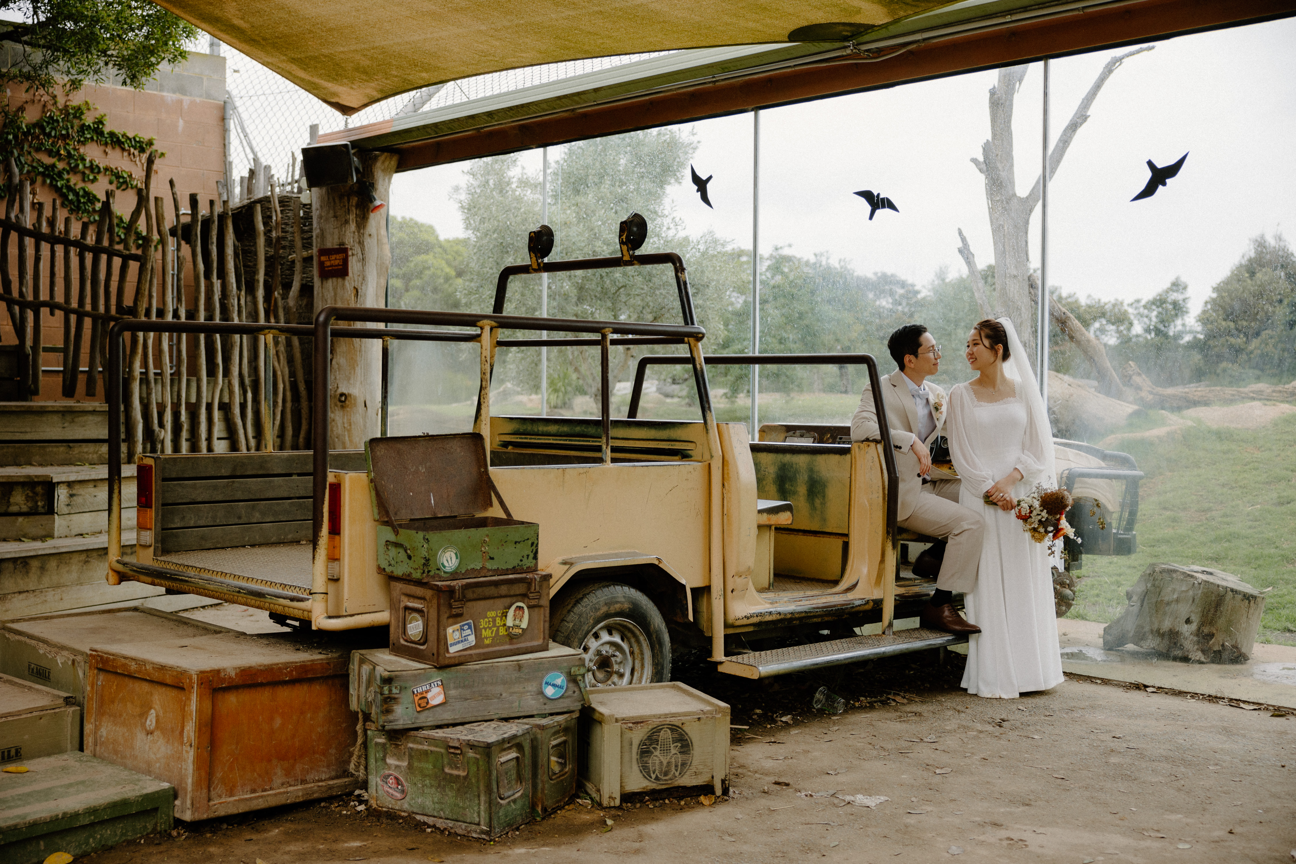 Werribee Open Range Zoo-2334737