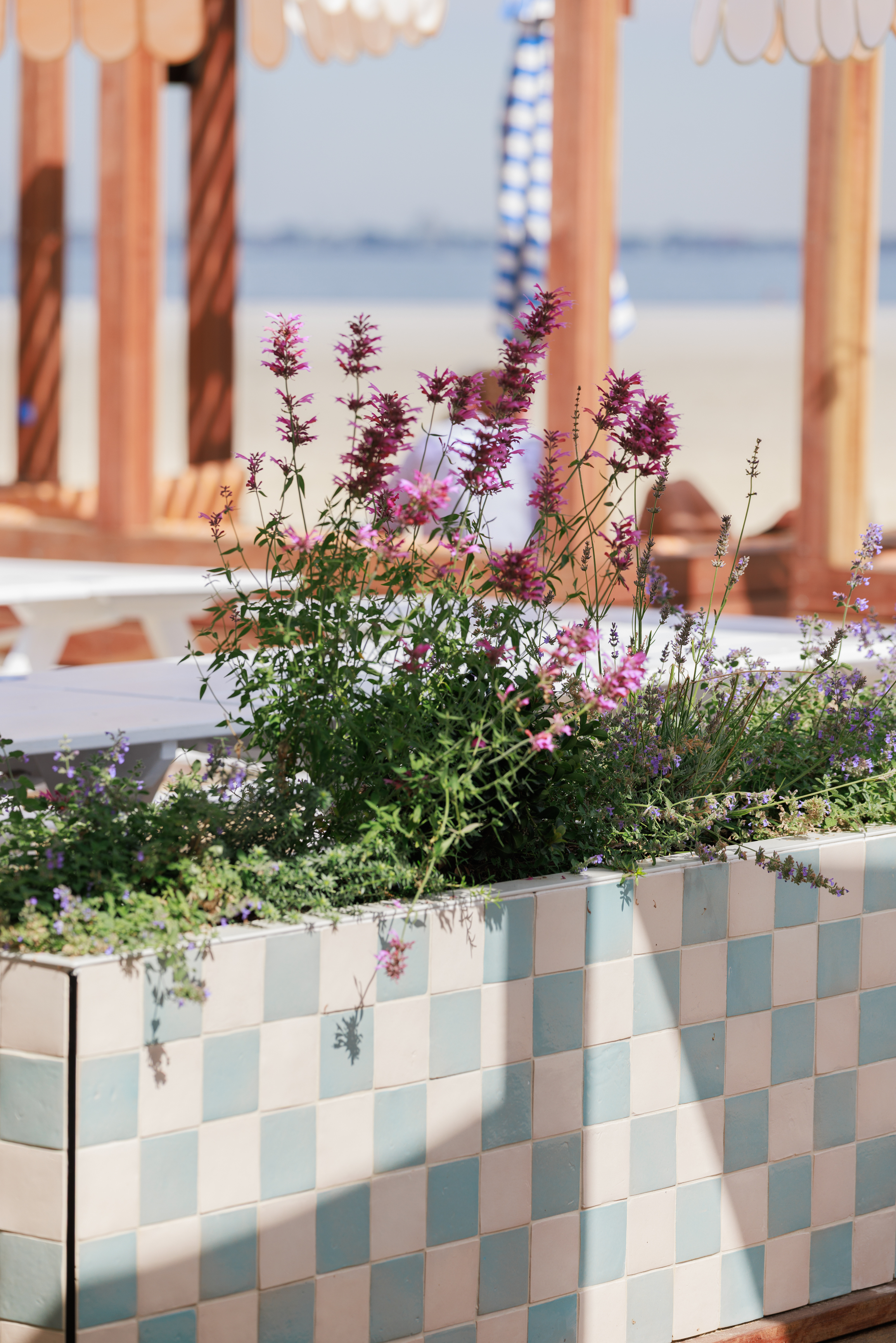 West Beach Pavilion-2500148