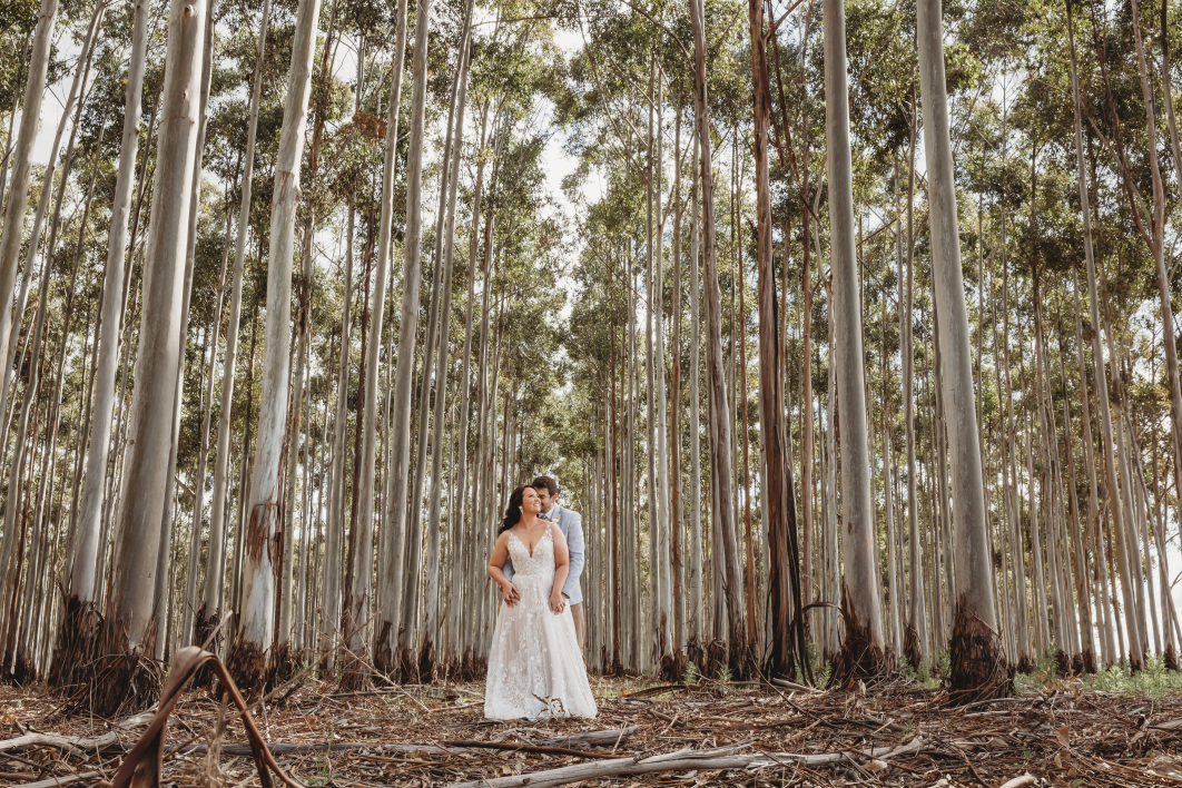 Whitton Malt House-2354714