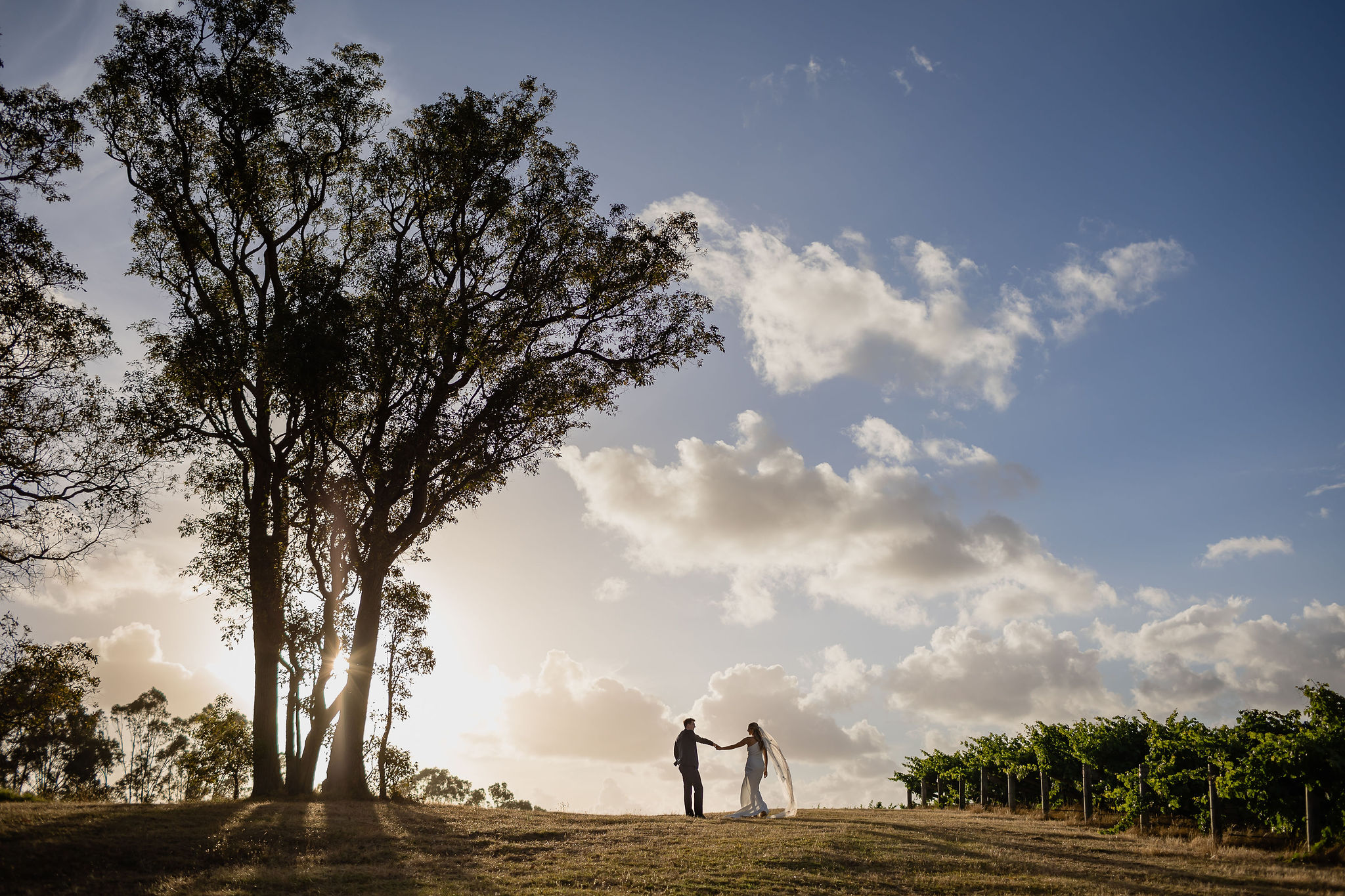 Wills Domain Winery-2148069