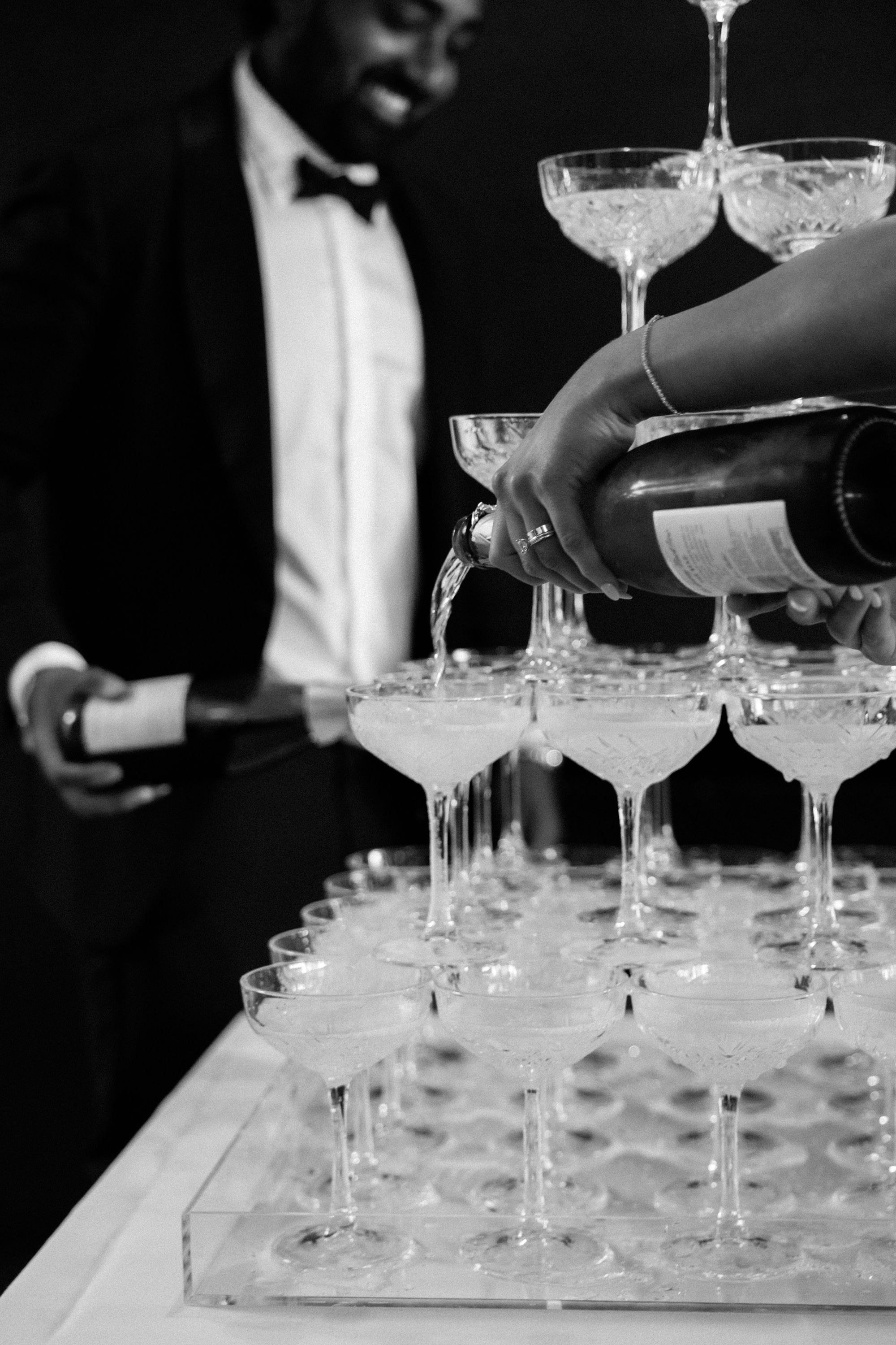Wise Wine-2518818