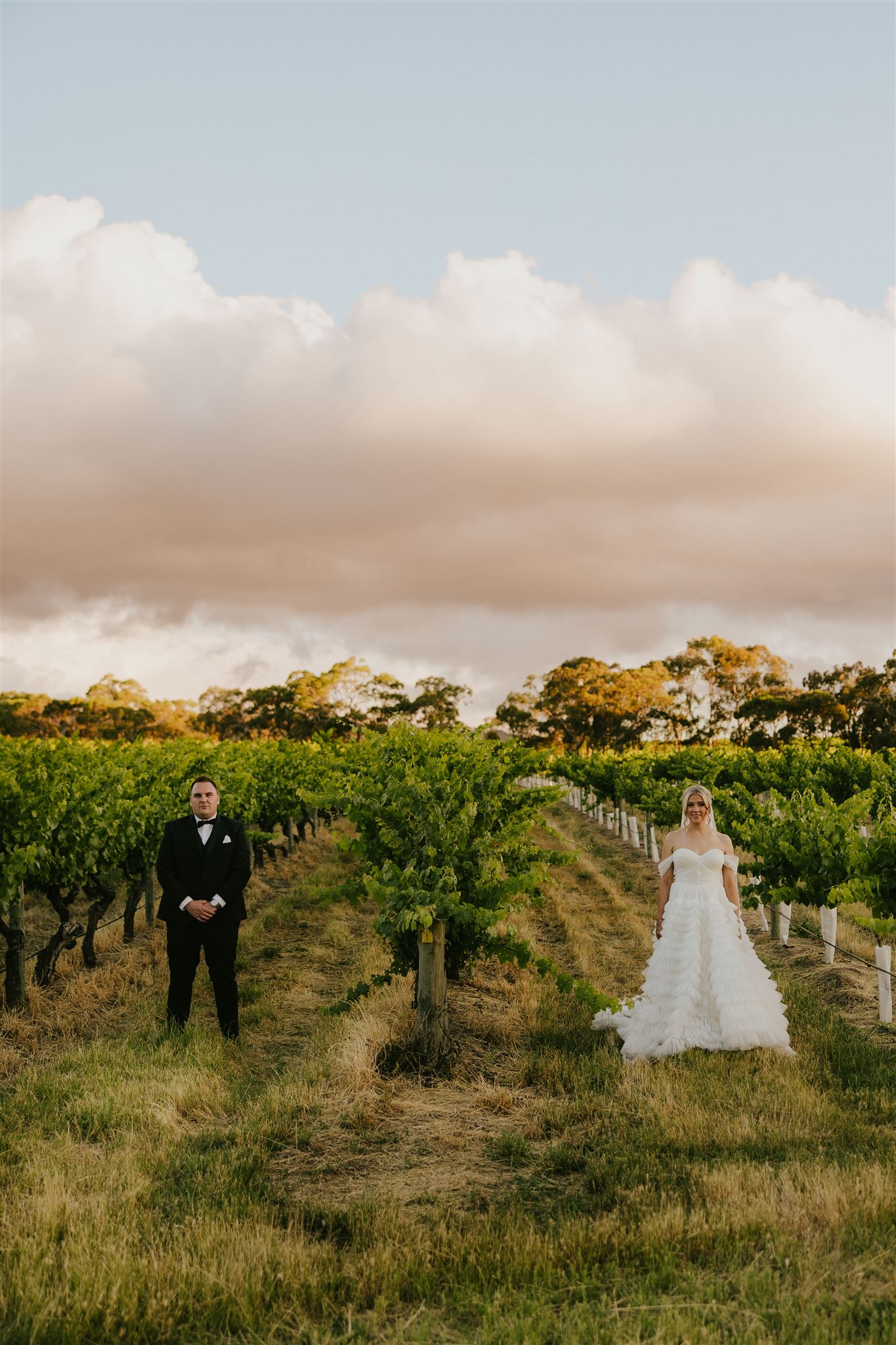 Woodstock Wine Estate-2452867