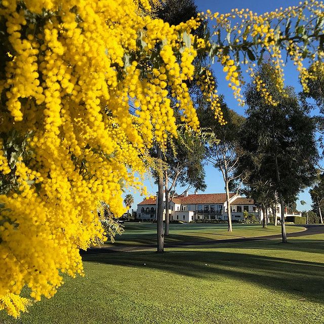 Yarra Yarra Golf Club-2083210