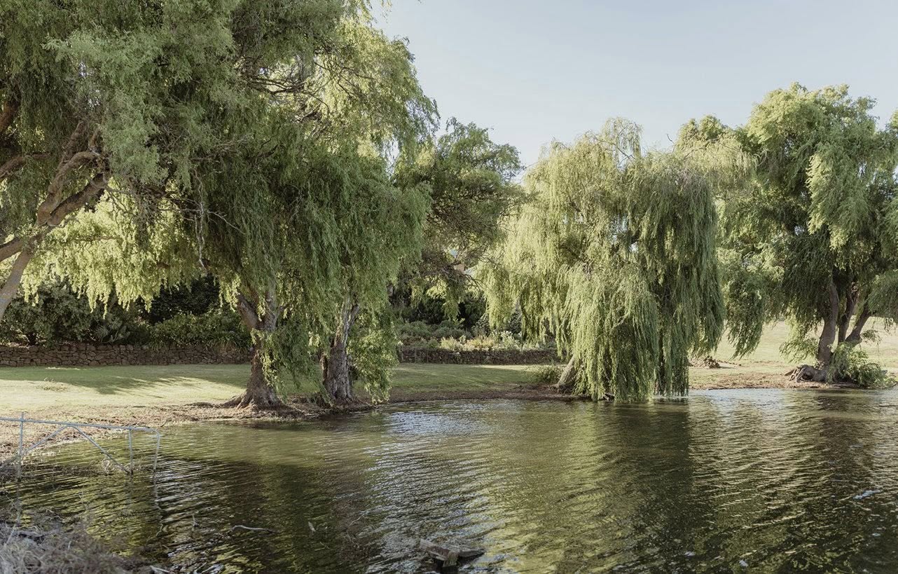 Yuulong Estate - Weddings & Events-2452749