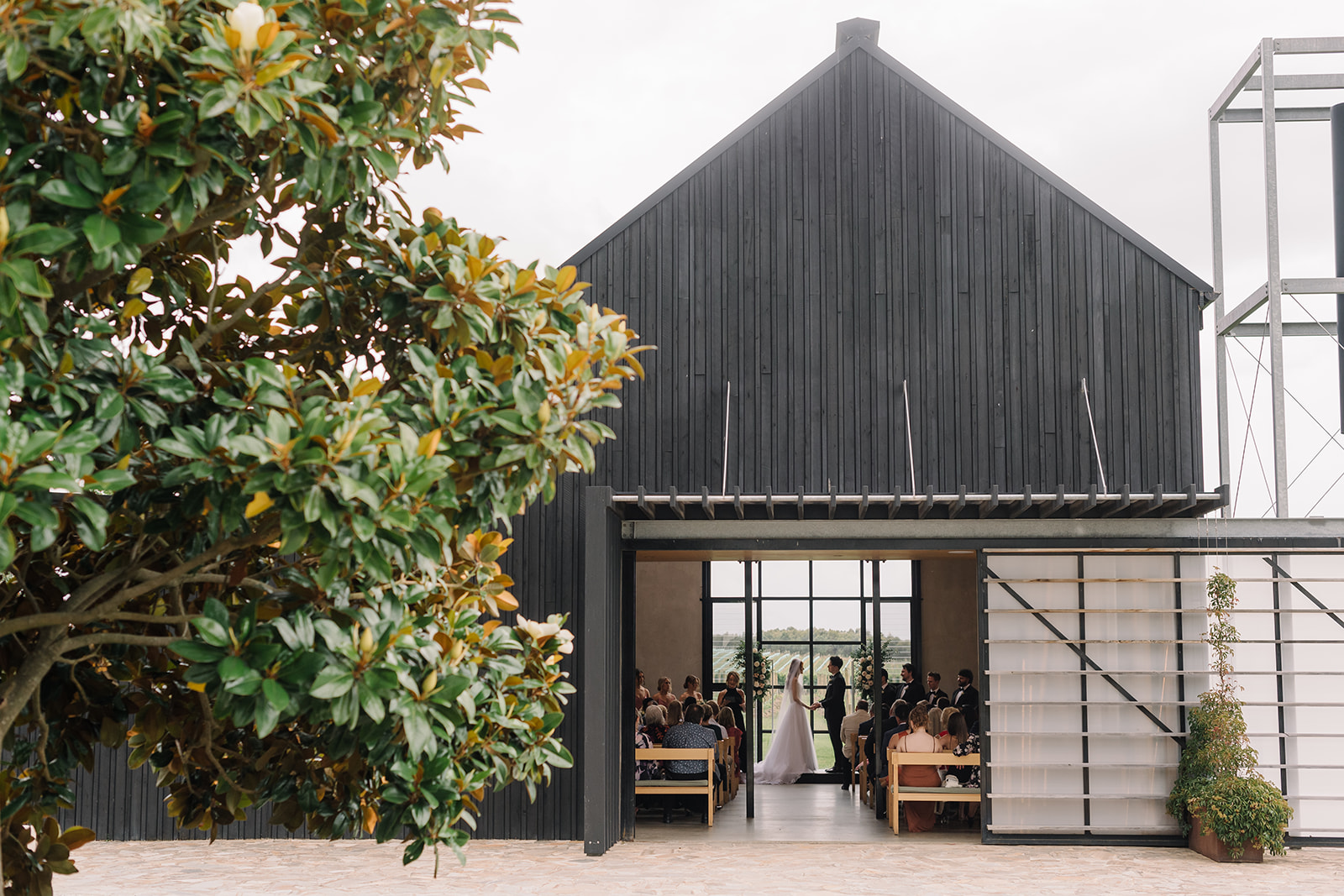 Zonzo Estate-2342707