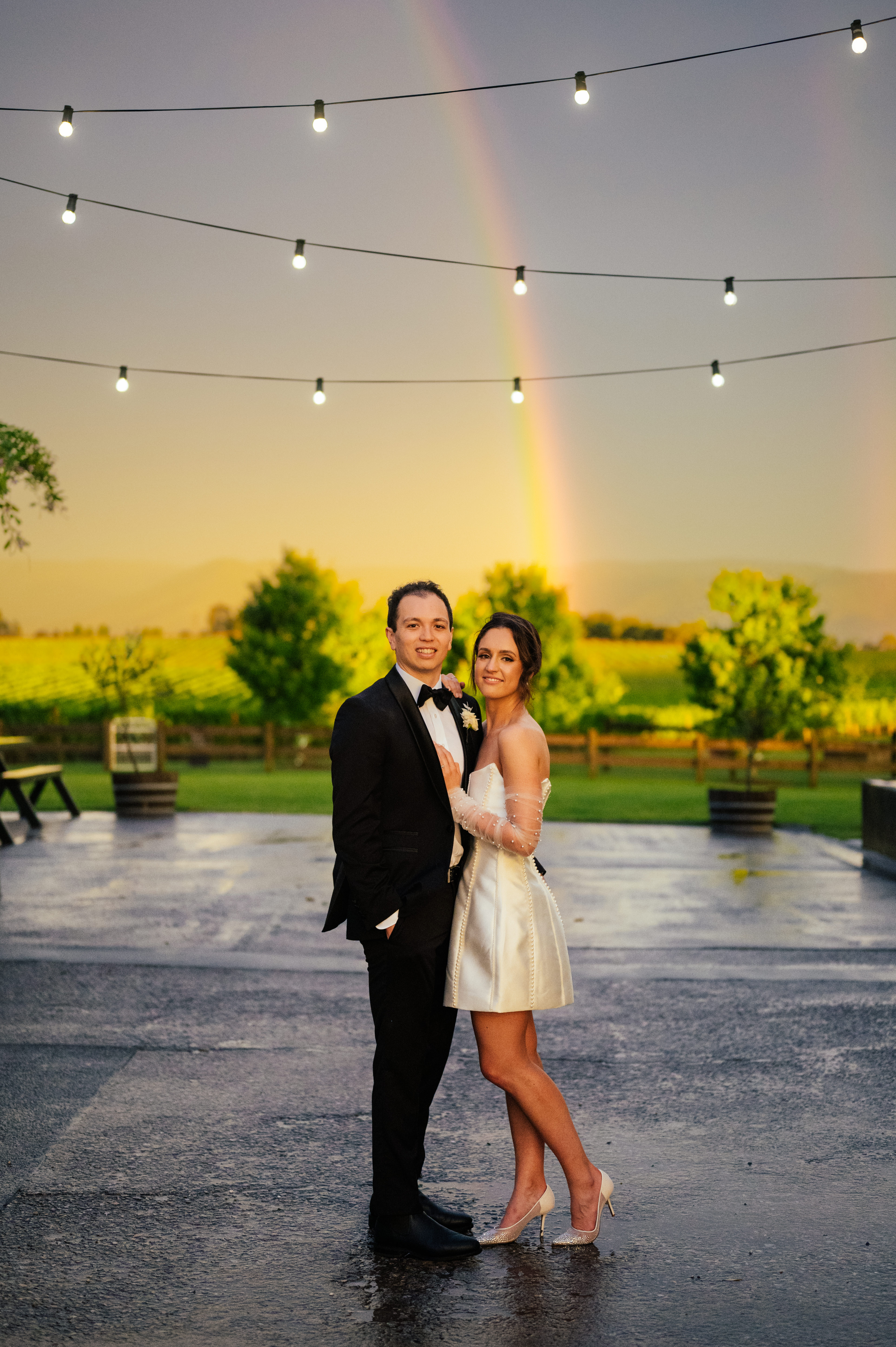 Zonzo Estate-2342689