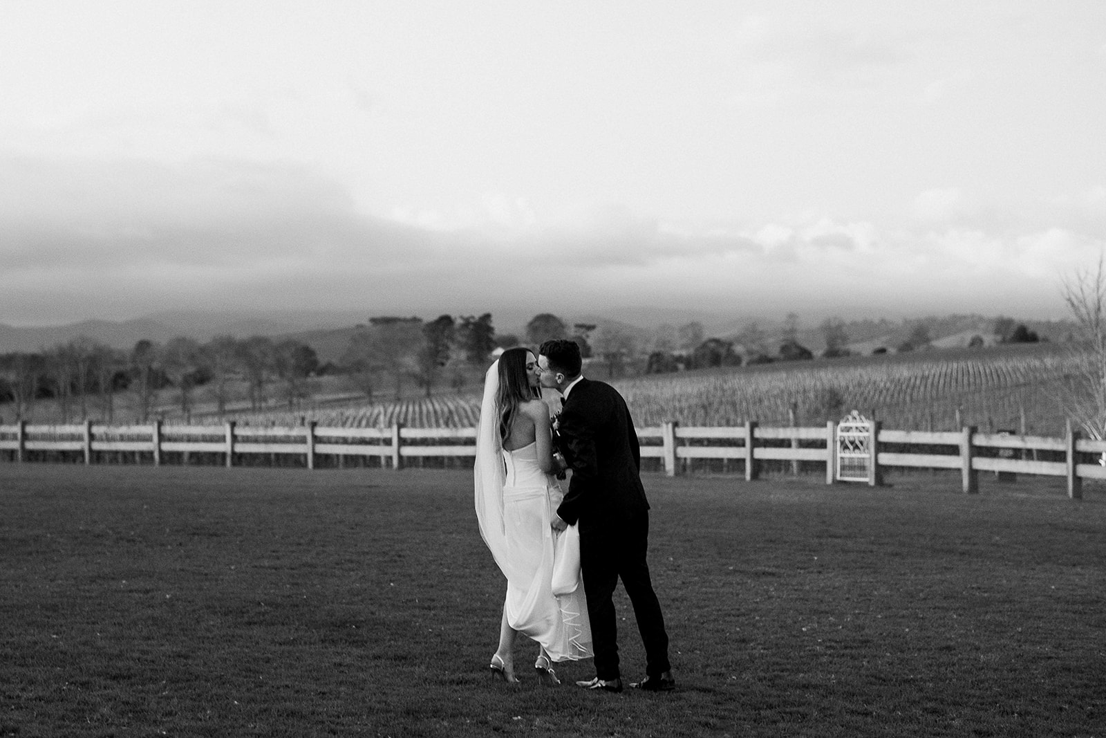 Zonzo Estate-2298657