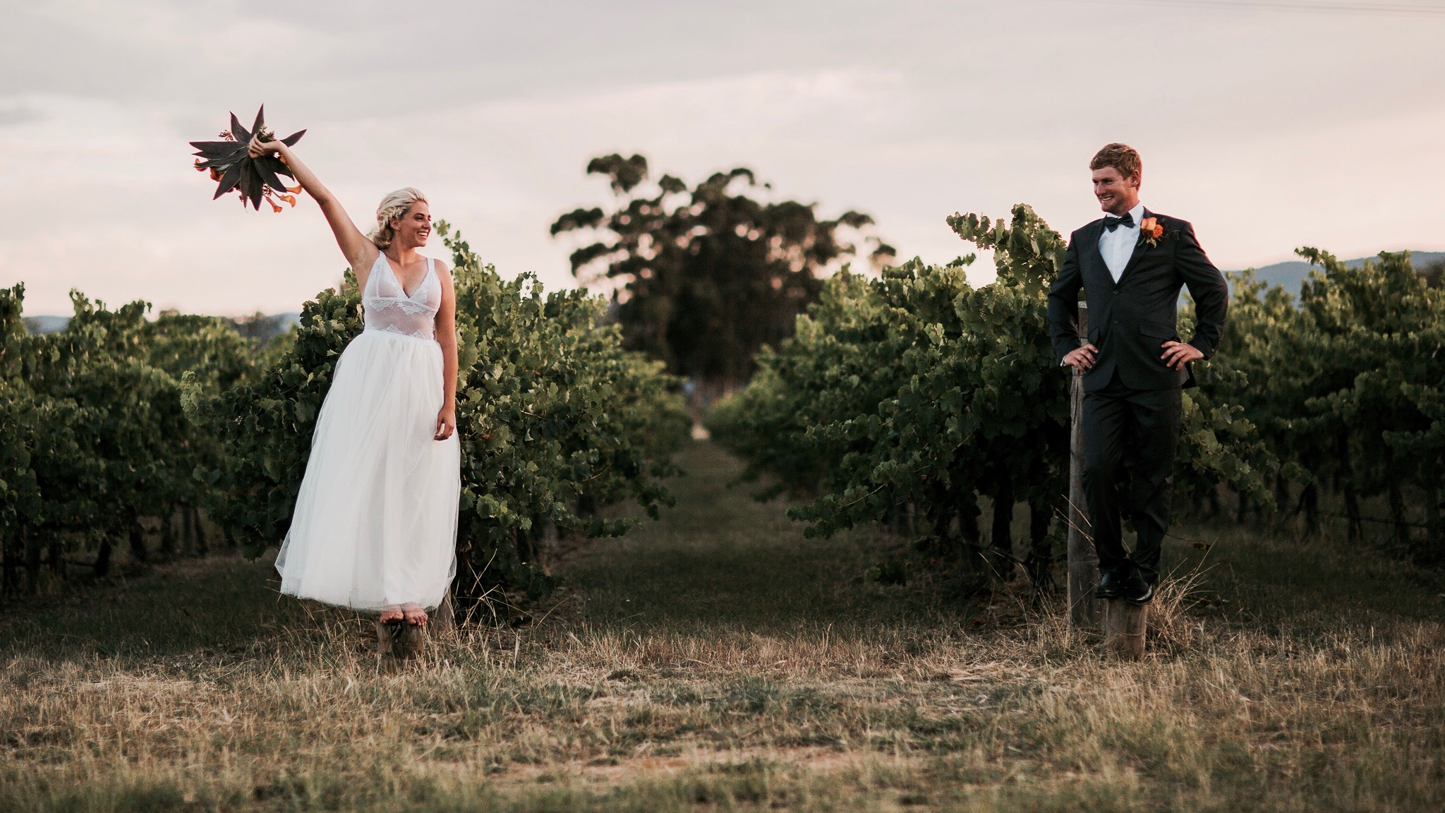 Blue Wren Farm-1568830