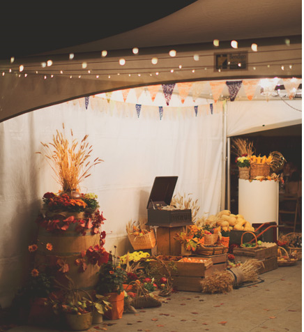 Bridgeward Grove Olives and Art Farm Gate-1746551