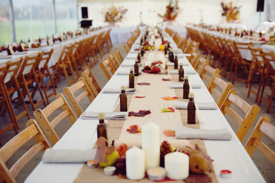 Bridgeward Grove Olives and Art Farm Gate-1746530