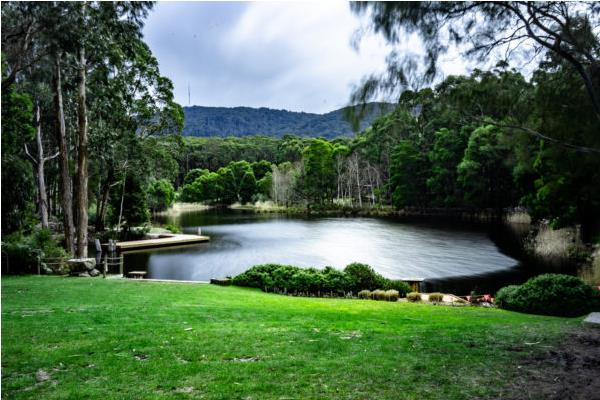 Cave Hill Creek-1474066
