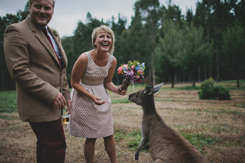 Donnelly River Village-1714402