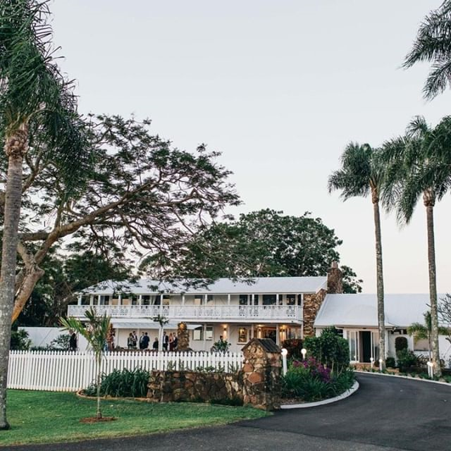 Fins at Plantation House-1743535