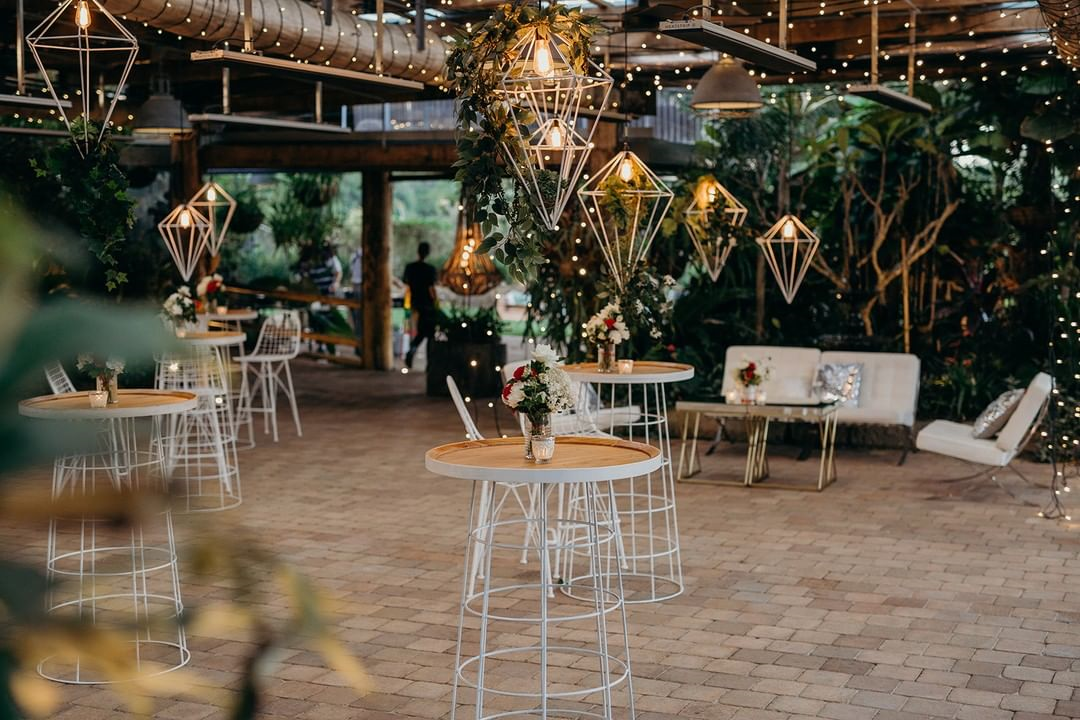 Fins at Plantation House-1743557