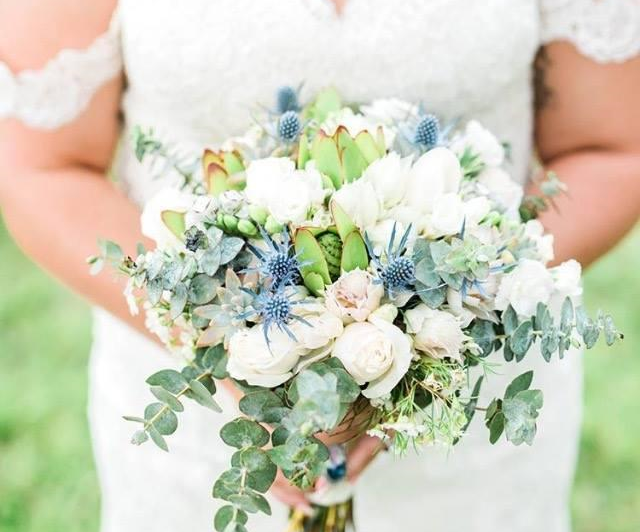 Floral Magic Mareeba