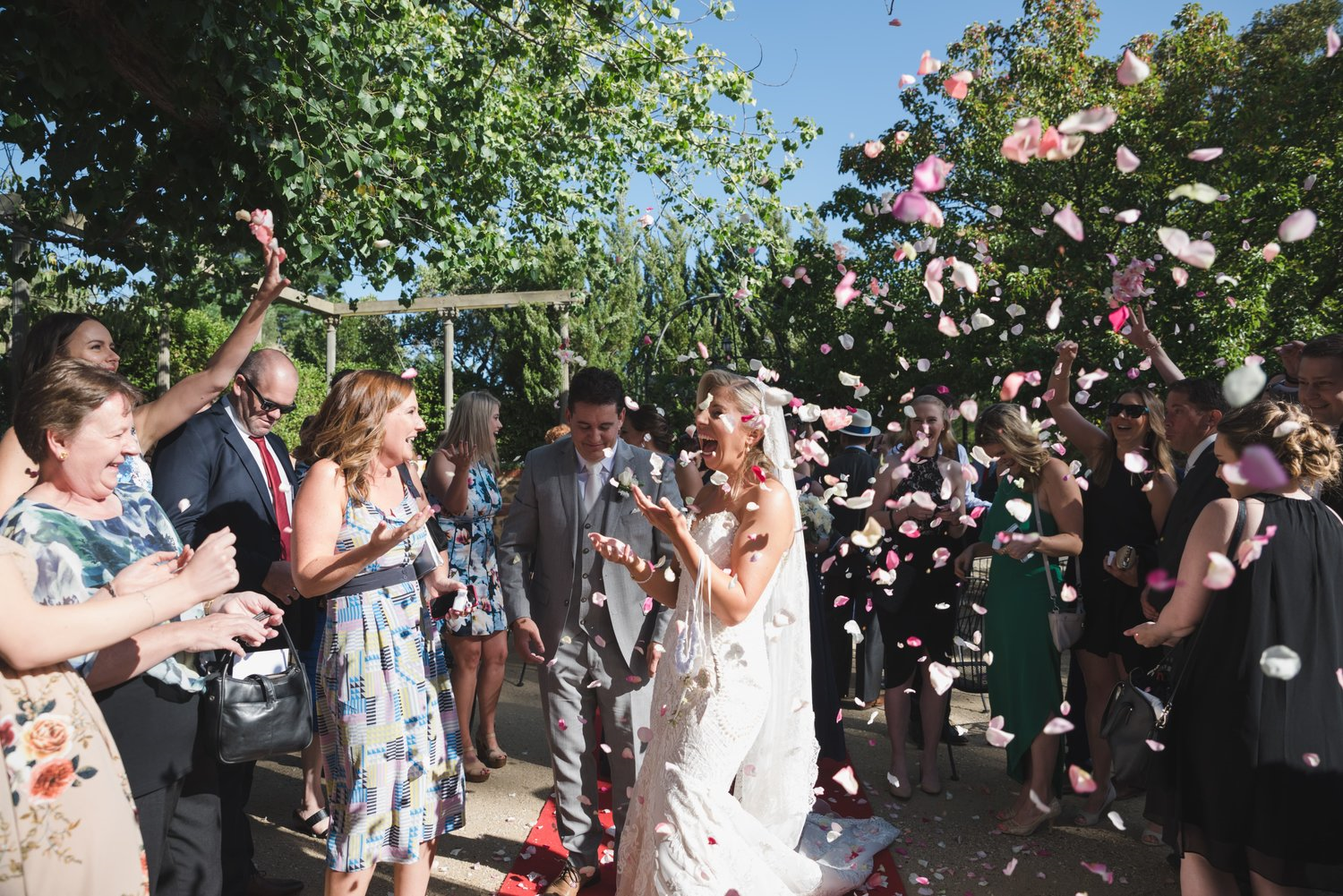 Goona Warra Vineyard-1538080