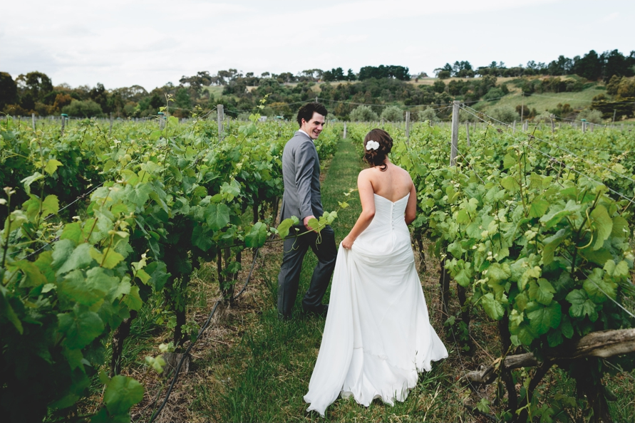 Goona Warra Vineyard-1538283