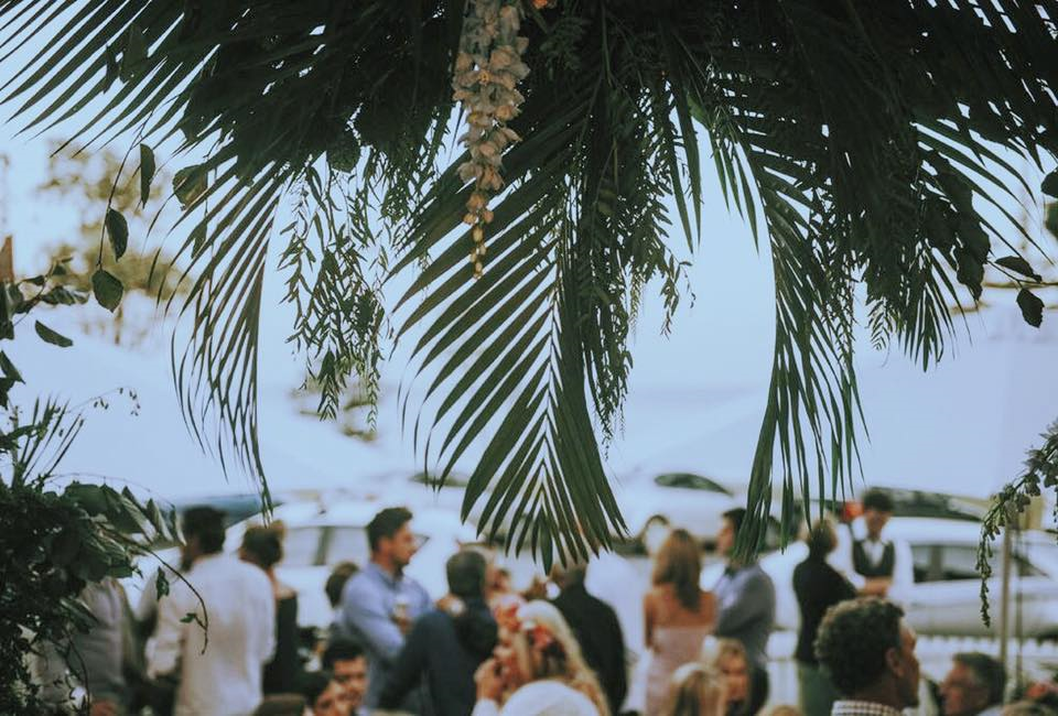 Growlers Torquay-1493796