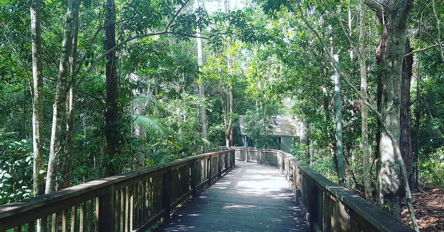 Harry's on Buderim-1657419