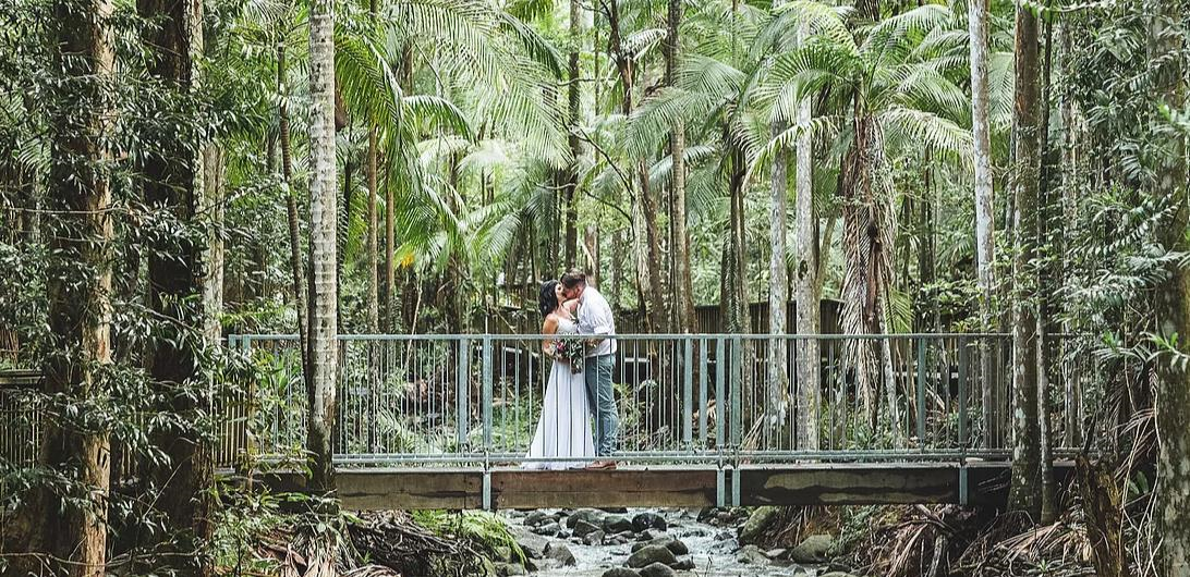 Harry's on Buderim-1657487