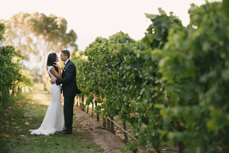 Jack Rabbit Vineyard-1725062