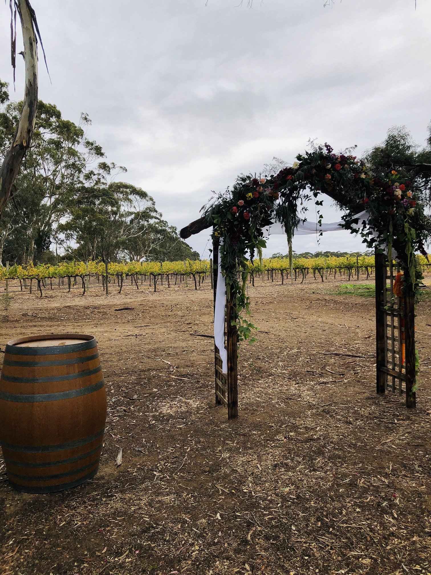 Lindsay Wine Estate-1719158