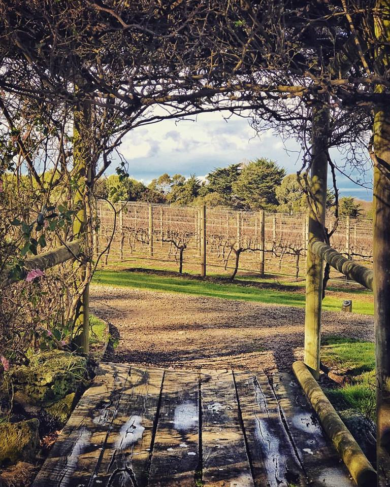 Max's Restaurant at Red Hill-1747395