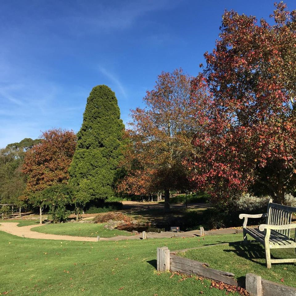 Max's Restaurant at Red Hill-1747419