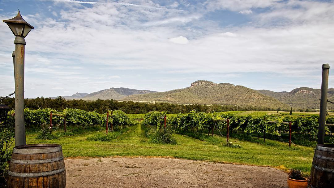 Mount Broke Wines-1617718