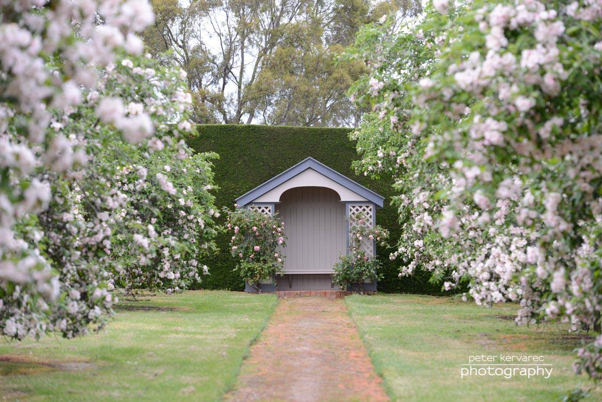 Mount Mitchell-1751436