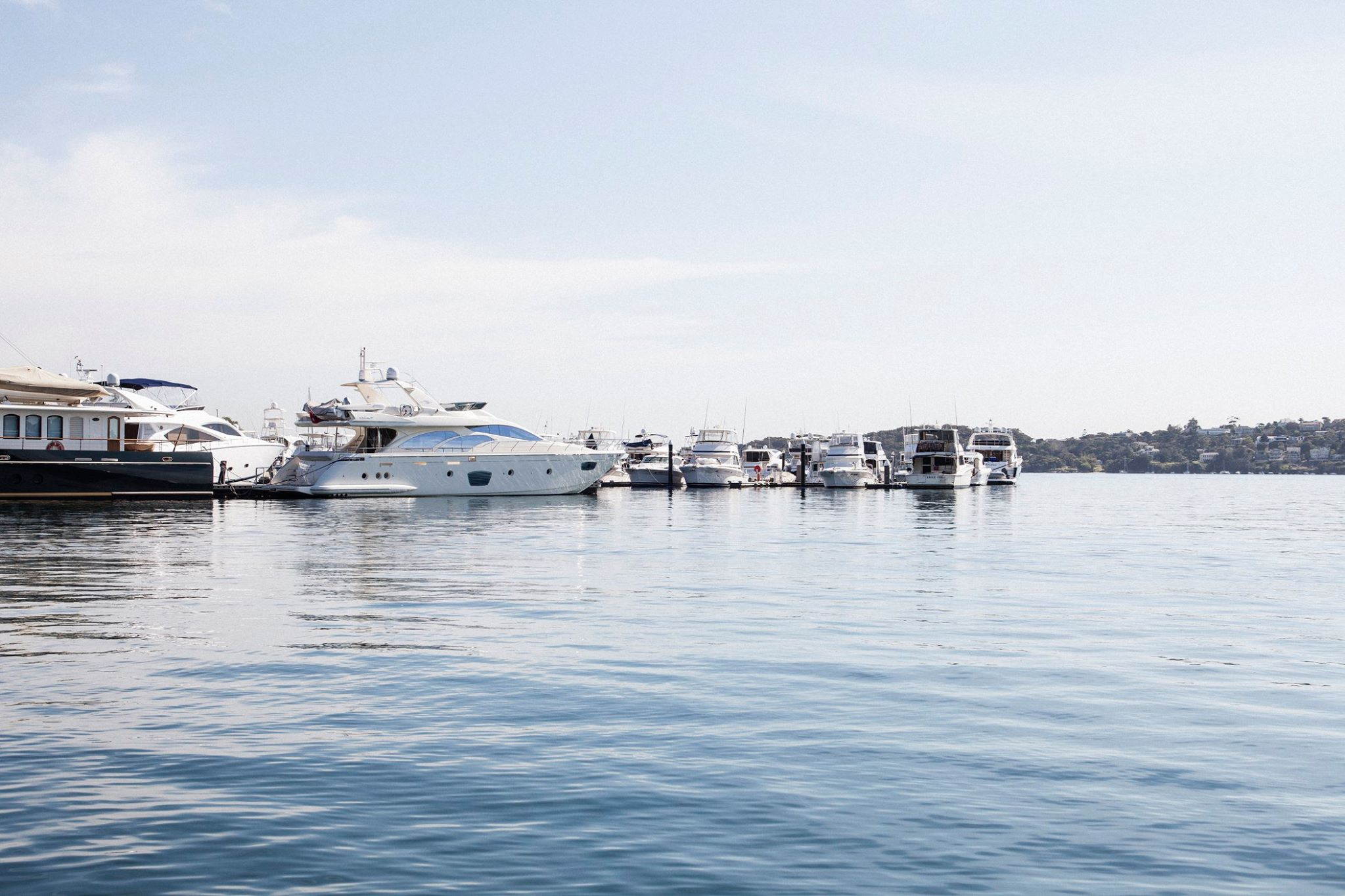 Regatta Rose Bay-1378733