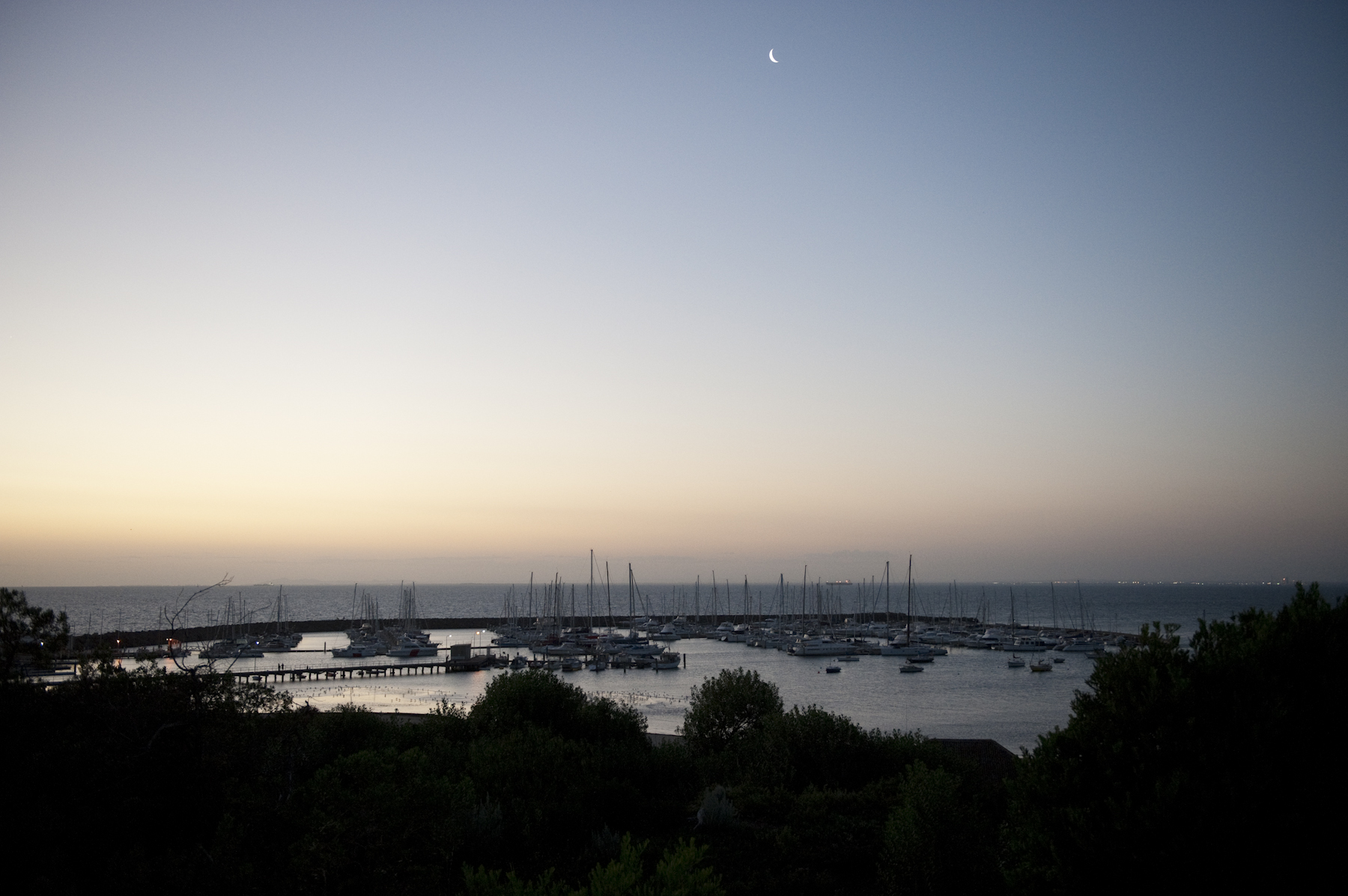 Sandy by the Bay-1353346