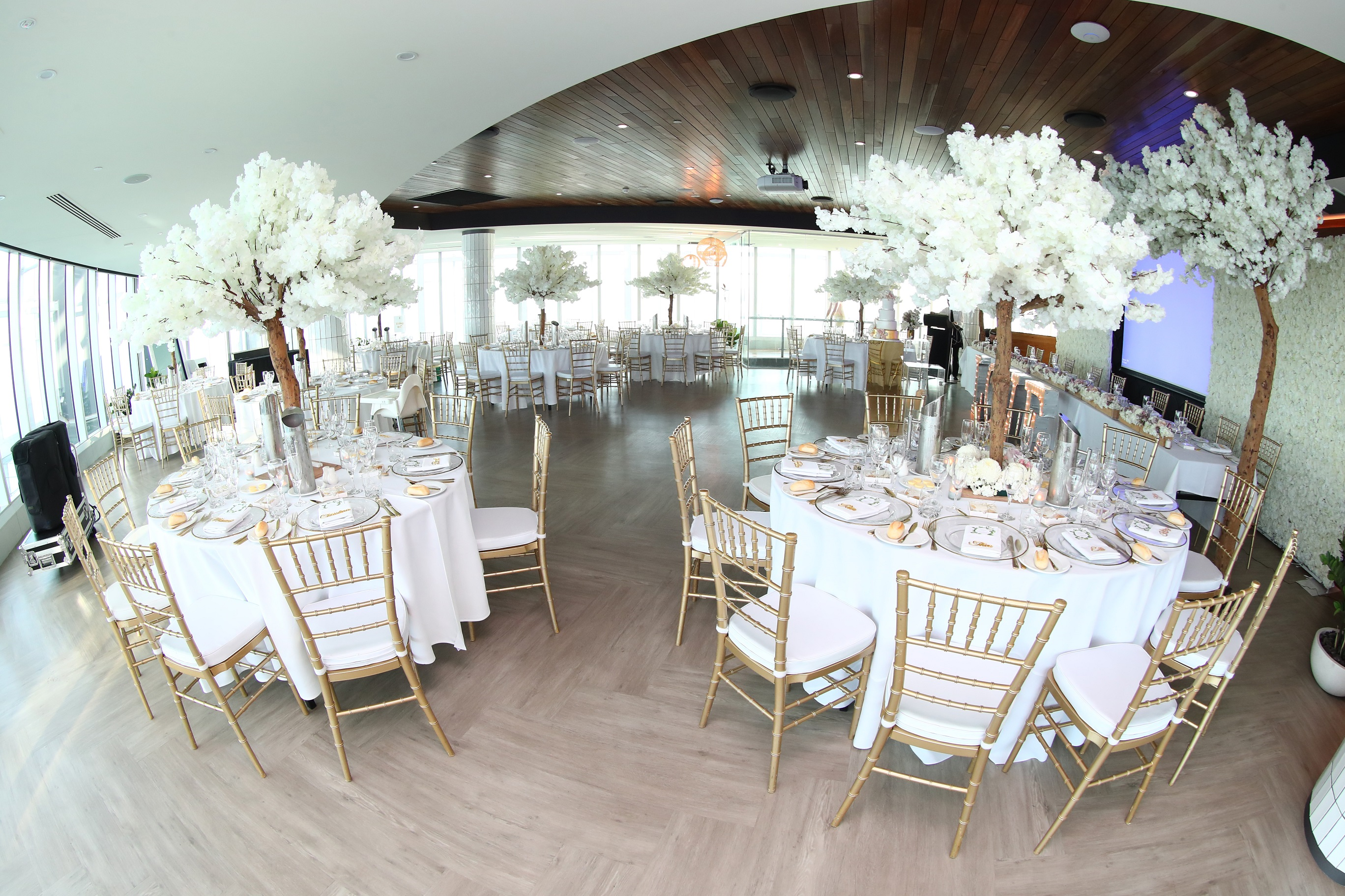 SkyPoint Observation Deck-1557381